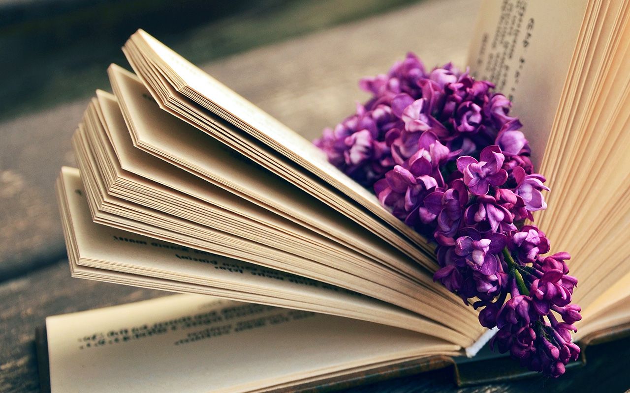 Lilac flowers on an open book - Books