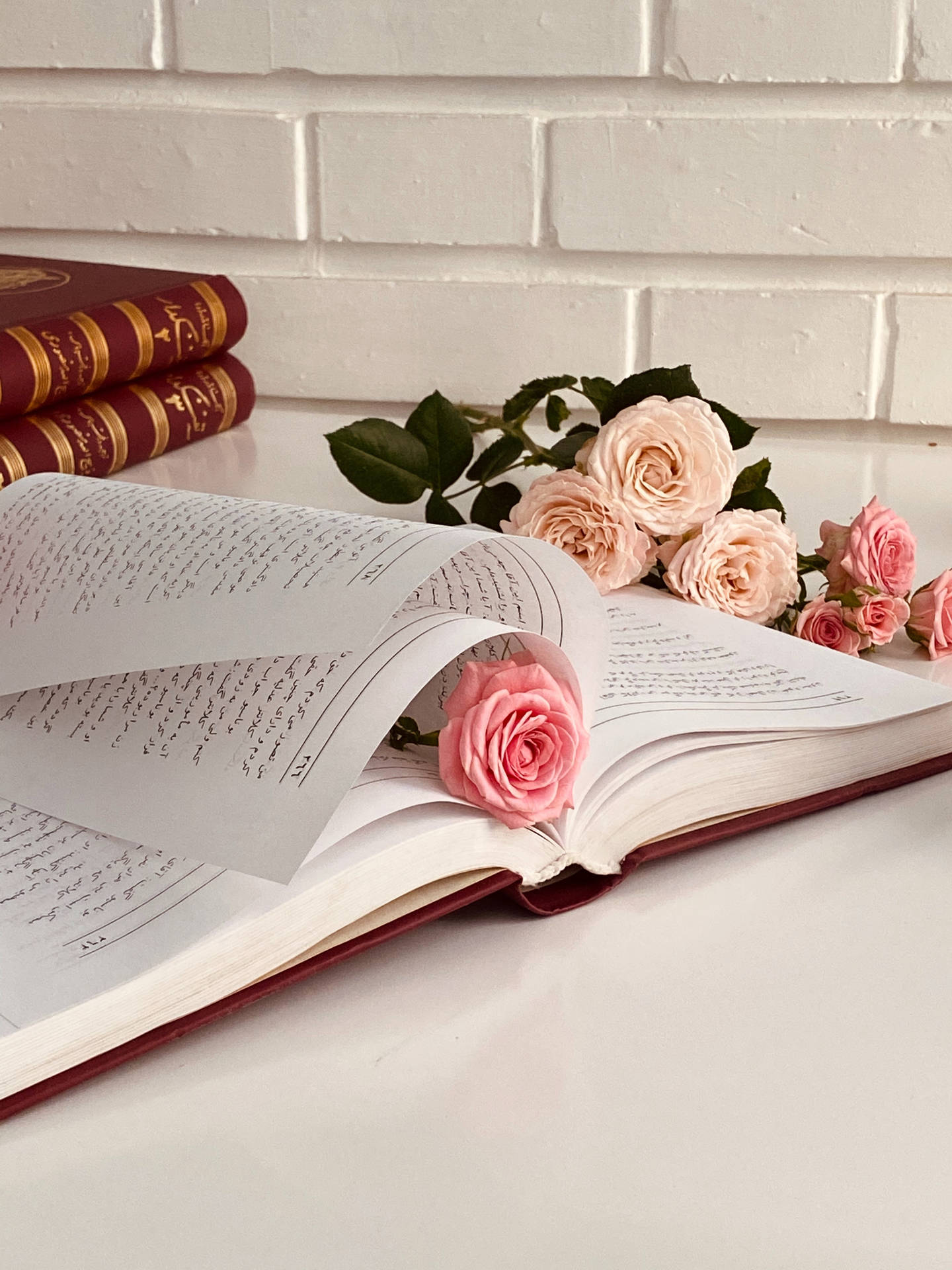 An open book with pink roses on top - Books