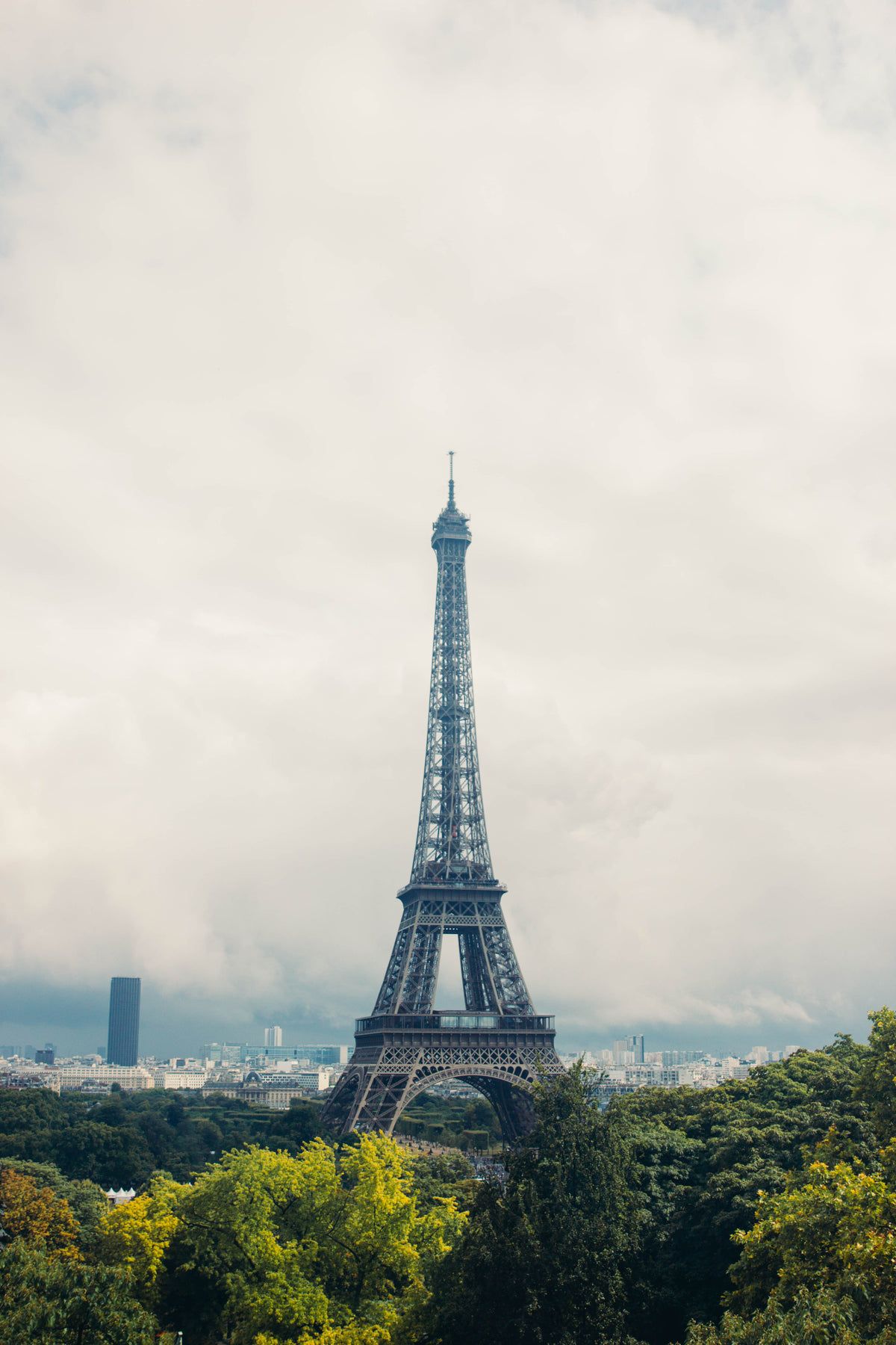The eiffel tower is in a park - Eiffel Tower, Paris