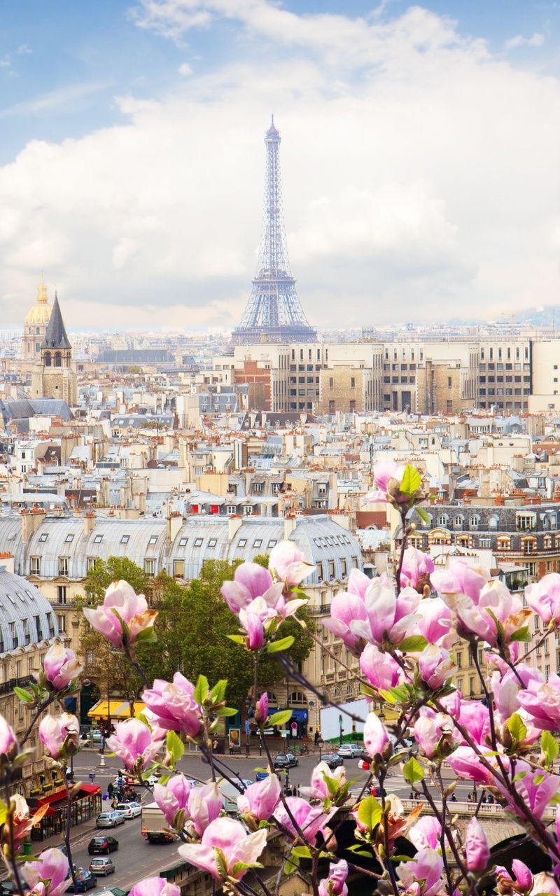 A view of Paris with the Eiffel Tower and pink flowers in the foreground. - Eiffel Tower, France