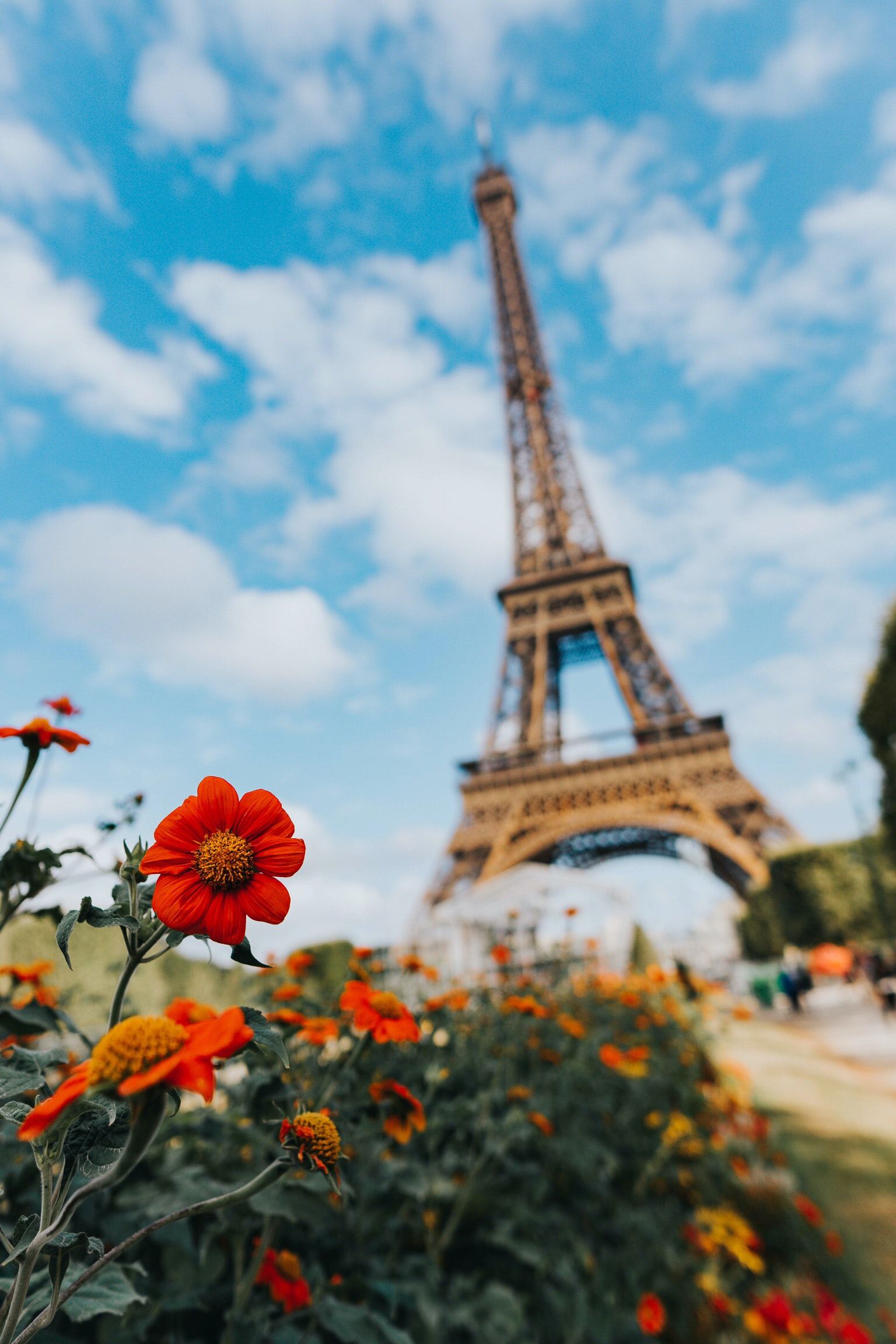 What To Do at the Eiffel Tower Gardens: Flowers, Photo, Fun