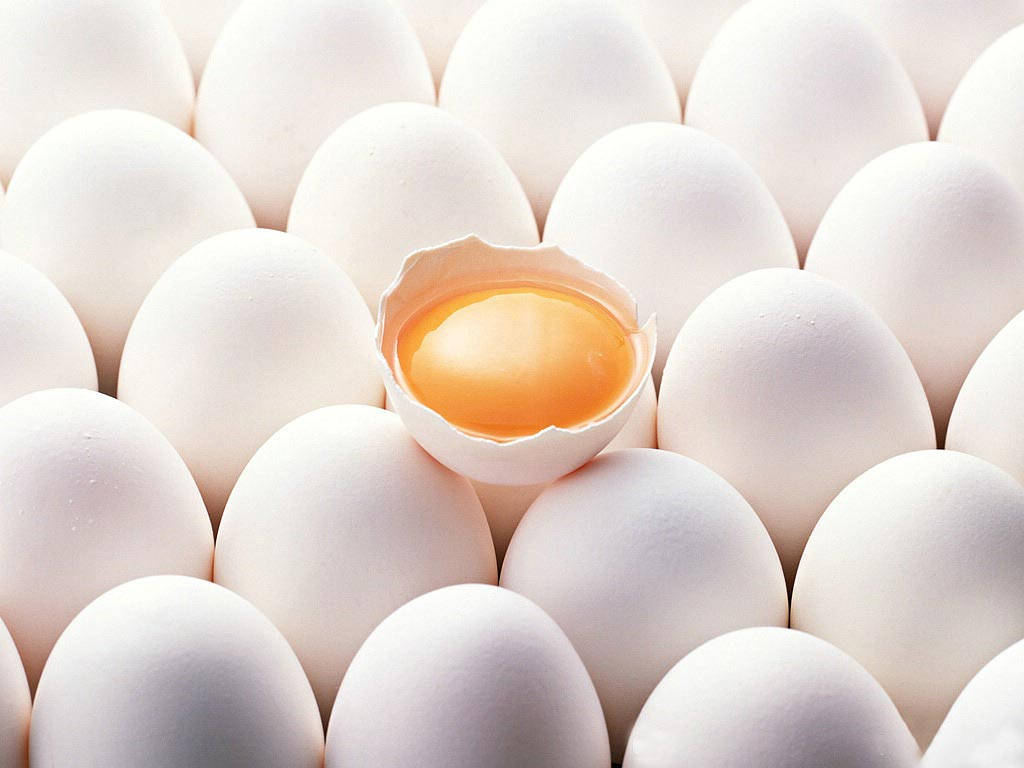 A single egg is in the middle of many eggs - Egg