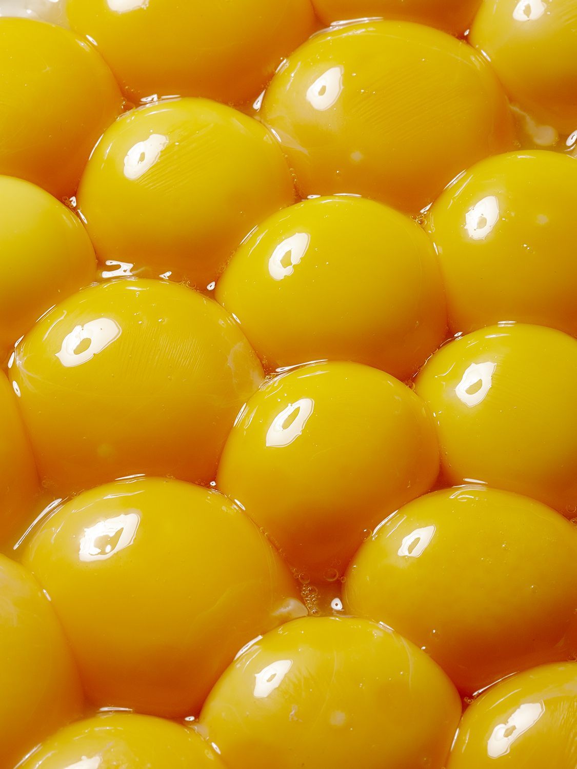 A close up of a bowl of bright yellow yolks. - Egg