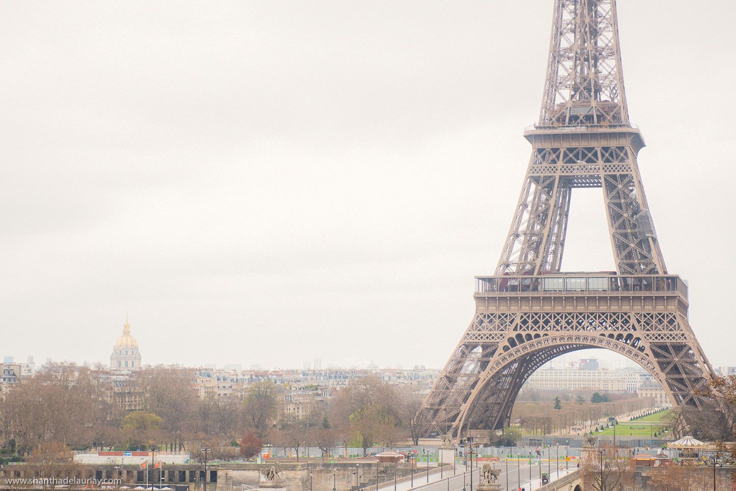 A train is going by the eiffel tower - Eiffel Tower