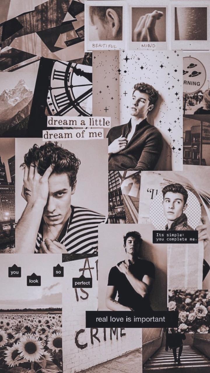 Shawn Mendes Aesthetic Wallpaper