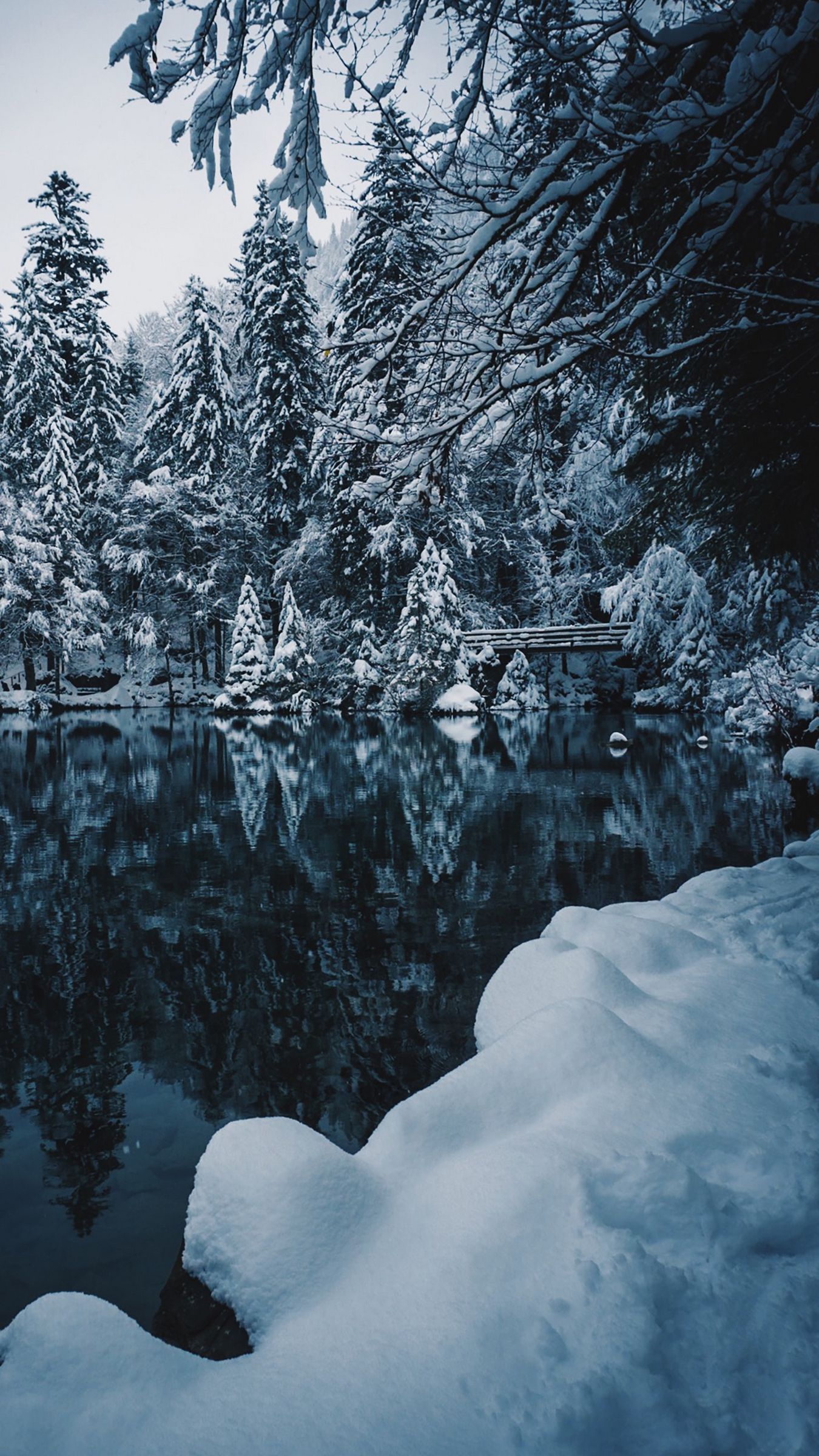 Download wallpaper 1350x2400 lake, snow, branches, winter, snowy iphone 8+/7+/6s+/for parallax HD background