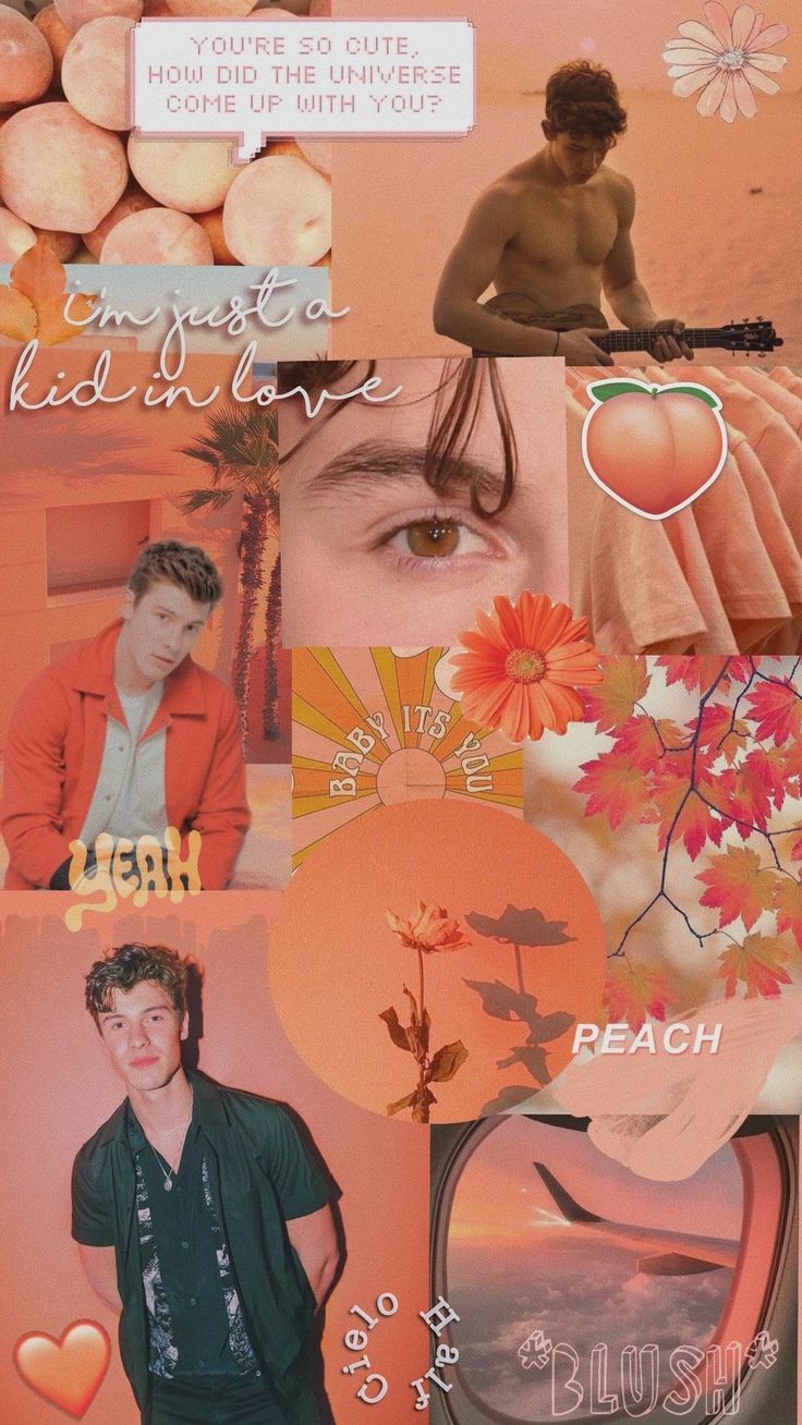 Aesthetic shawn mendes wallpaper phone background - Shawn Mendes