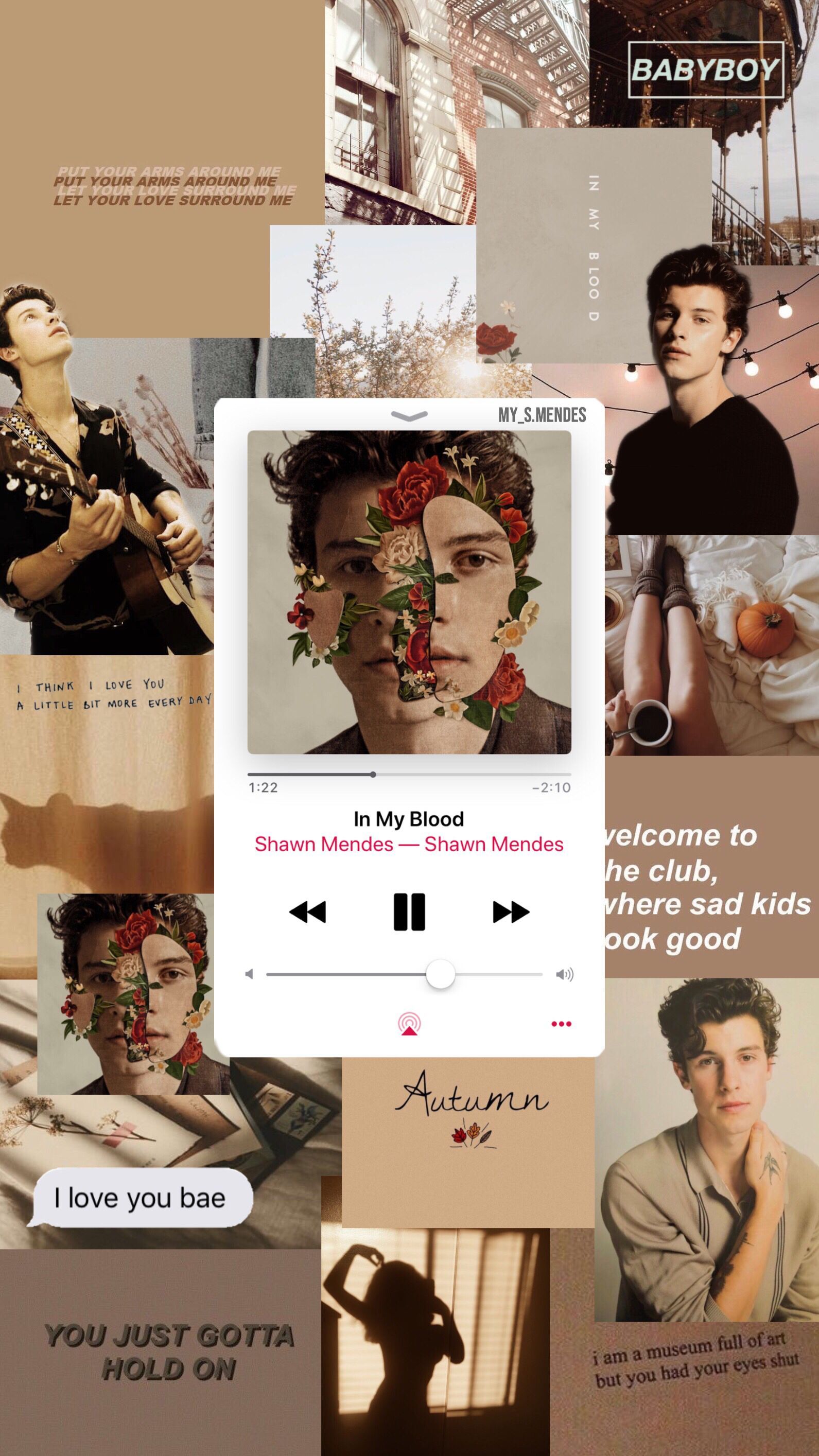 Collage of Shawn Mendes images with the lyrics to In My Blood - Shawn Mendes