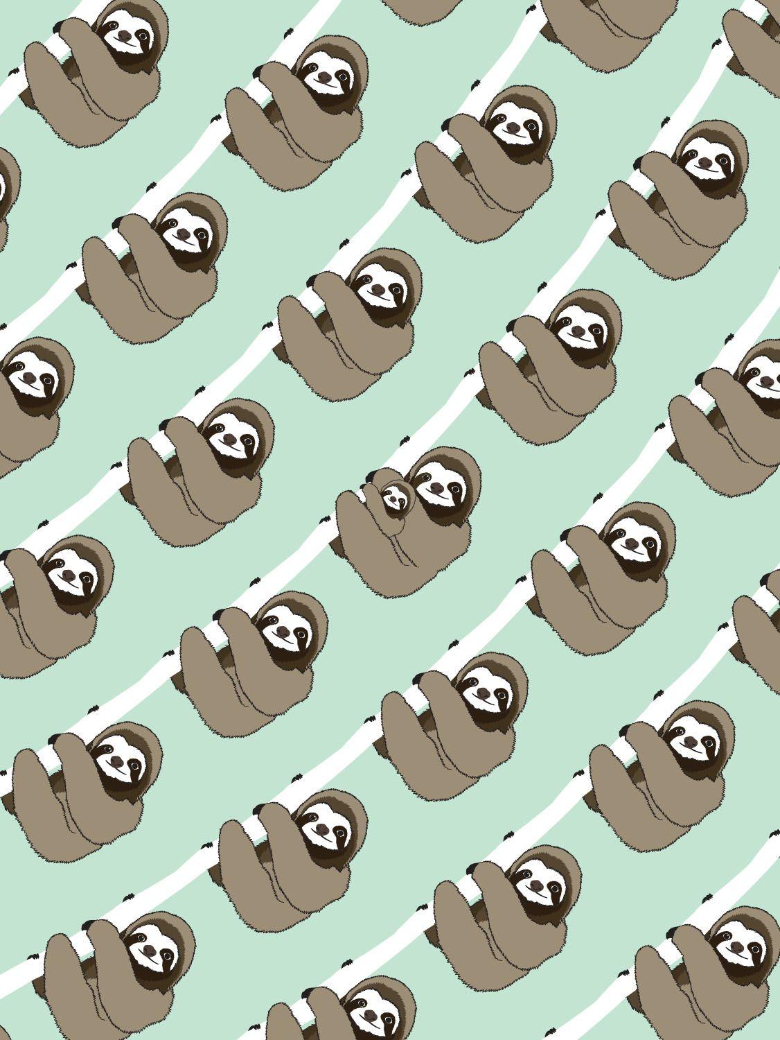 Cute Sloth Wallpaper