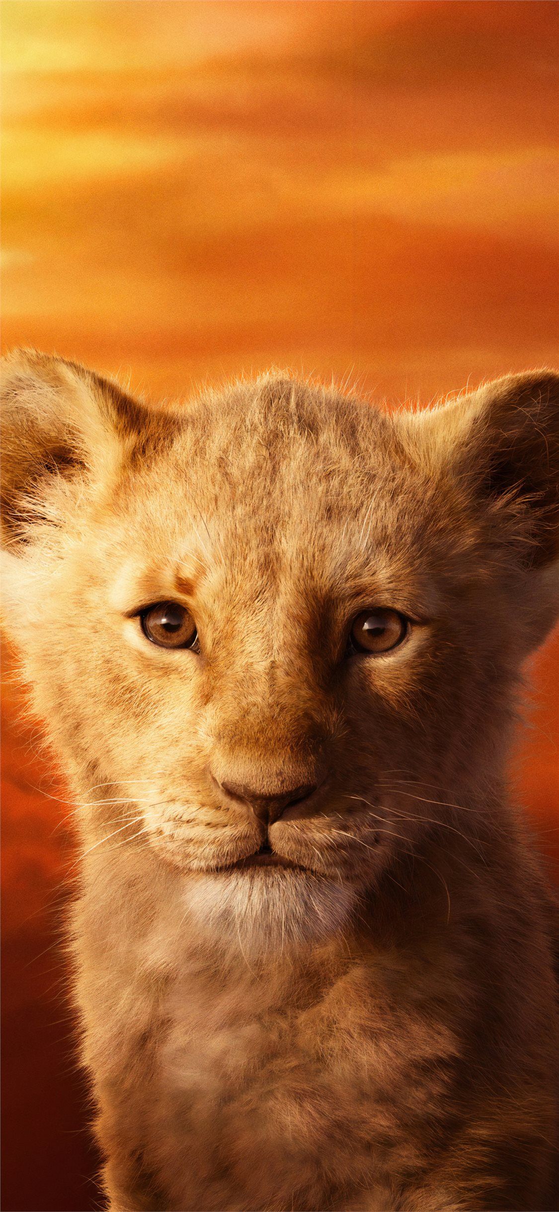 jd mccrary as simba the lion king 2019 4k iPhone X Wallpaper Free Download
