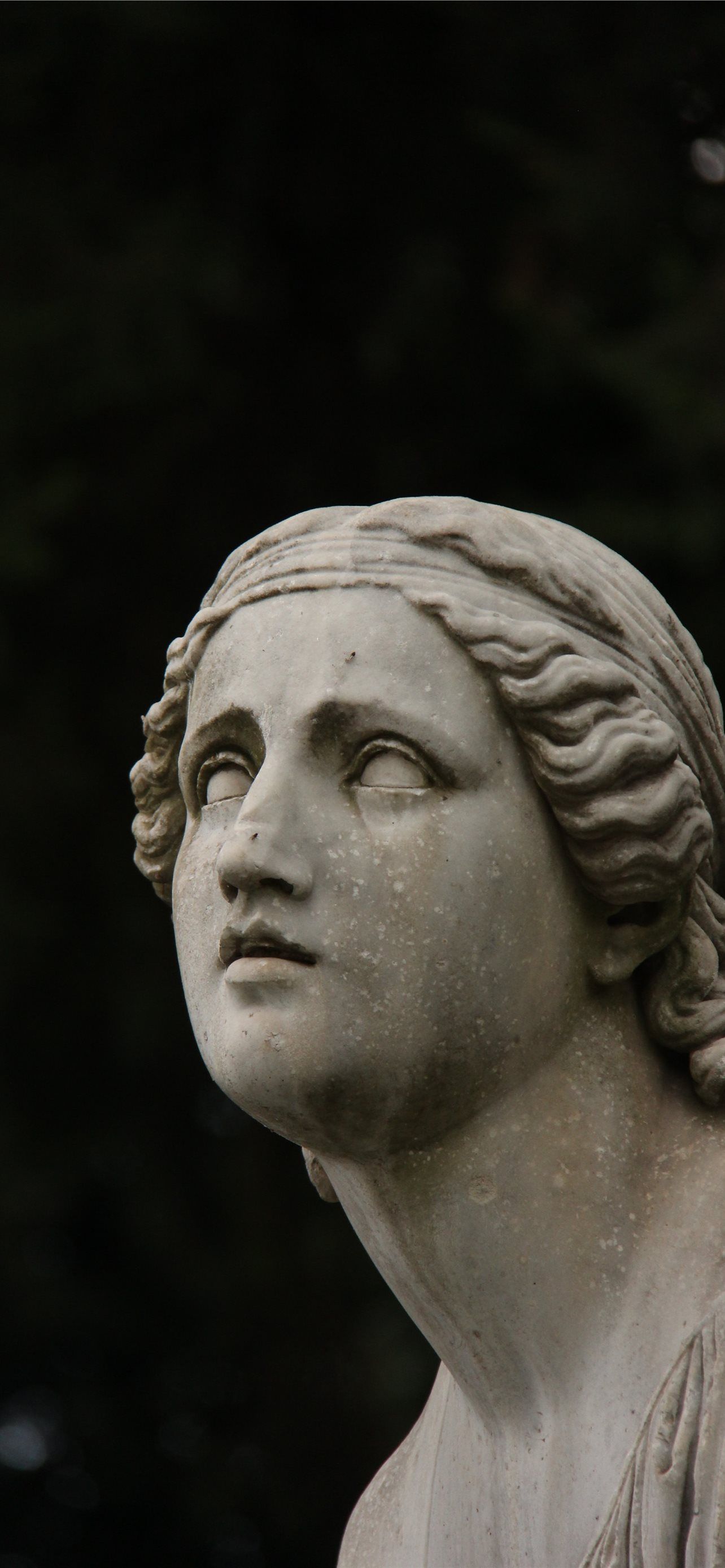 A sculpture of a woman's face and shoulders. - Statue