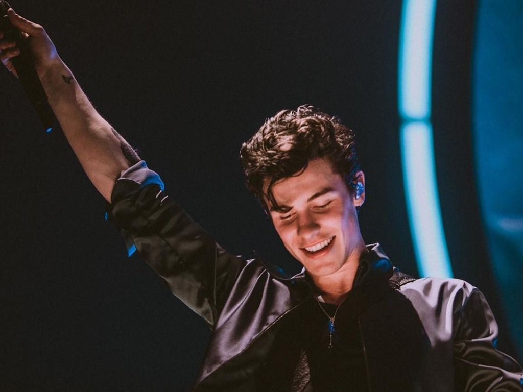 Shawn Mendes performing on stage with his arms in the air - Shawn Mendes