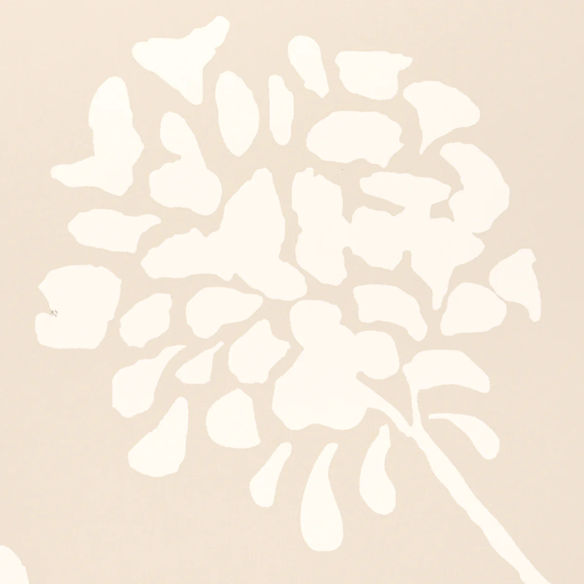 A white silhouette of a flower on a pale pink background - Neutral
