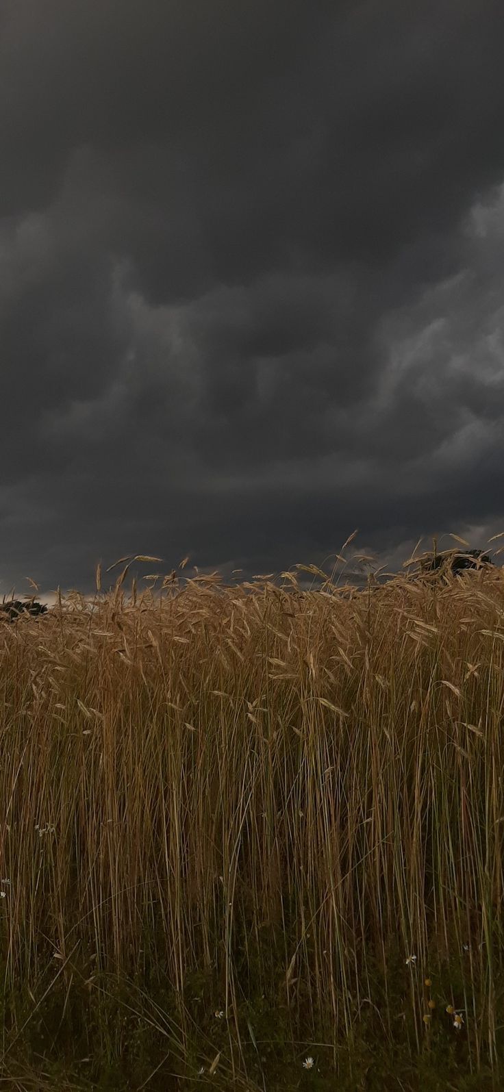 stormy weather <3. Pretty landscapes, Dark nature aesthetic, Sky aesthetic
