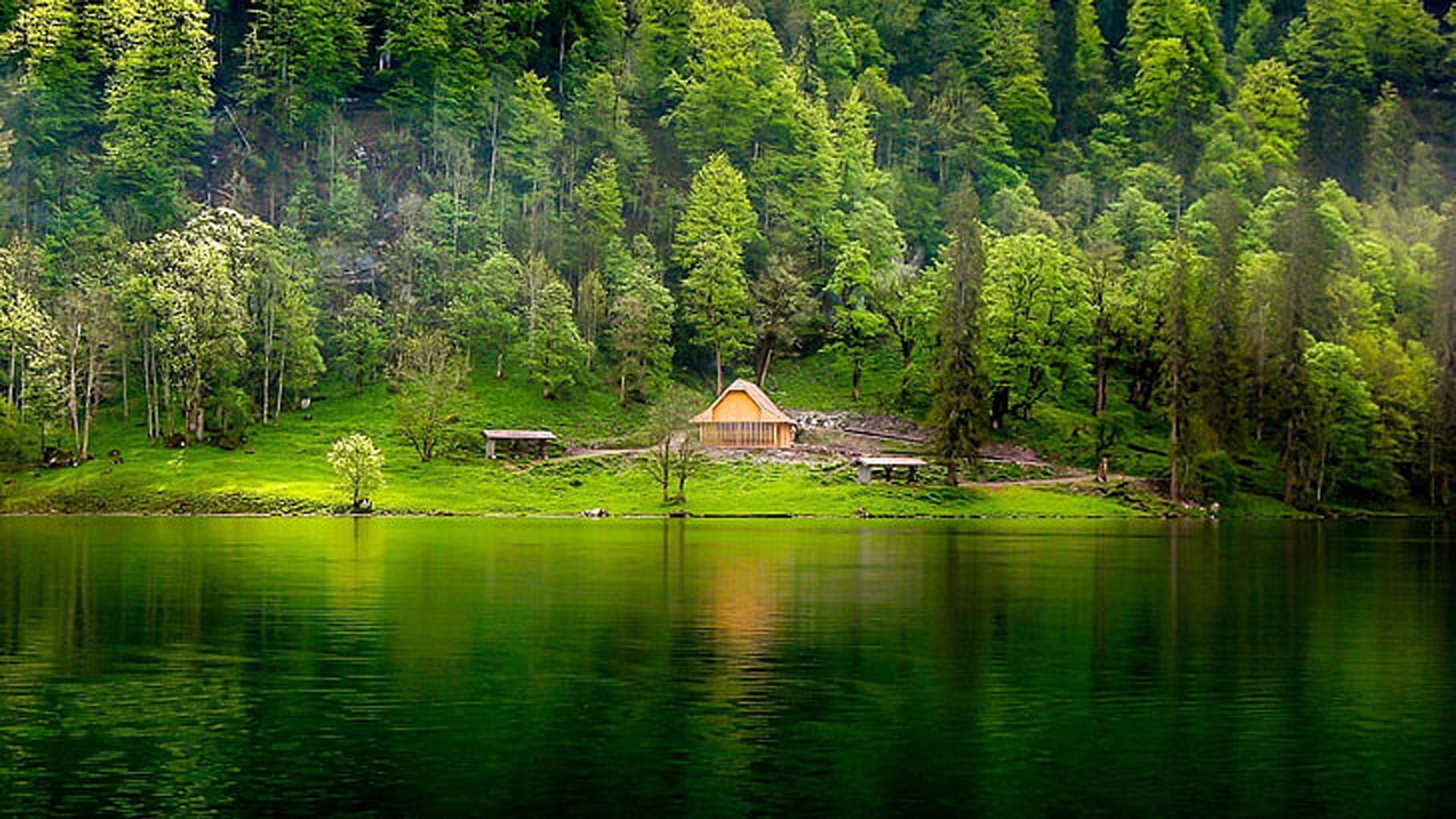 A small house sits on a grassy hill near a lake. - Lake