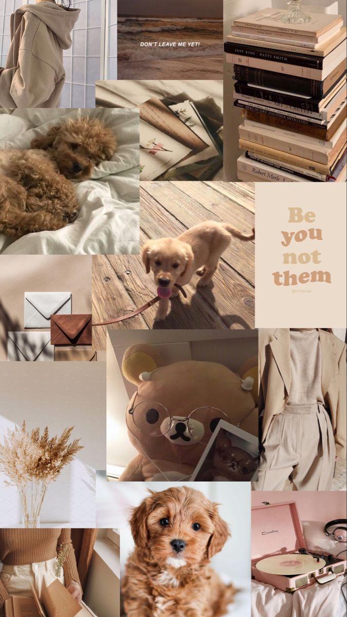 Puppy Collage Wallpaper