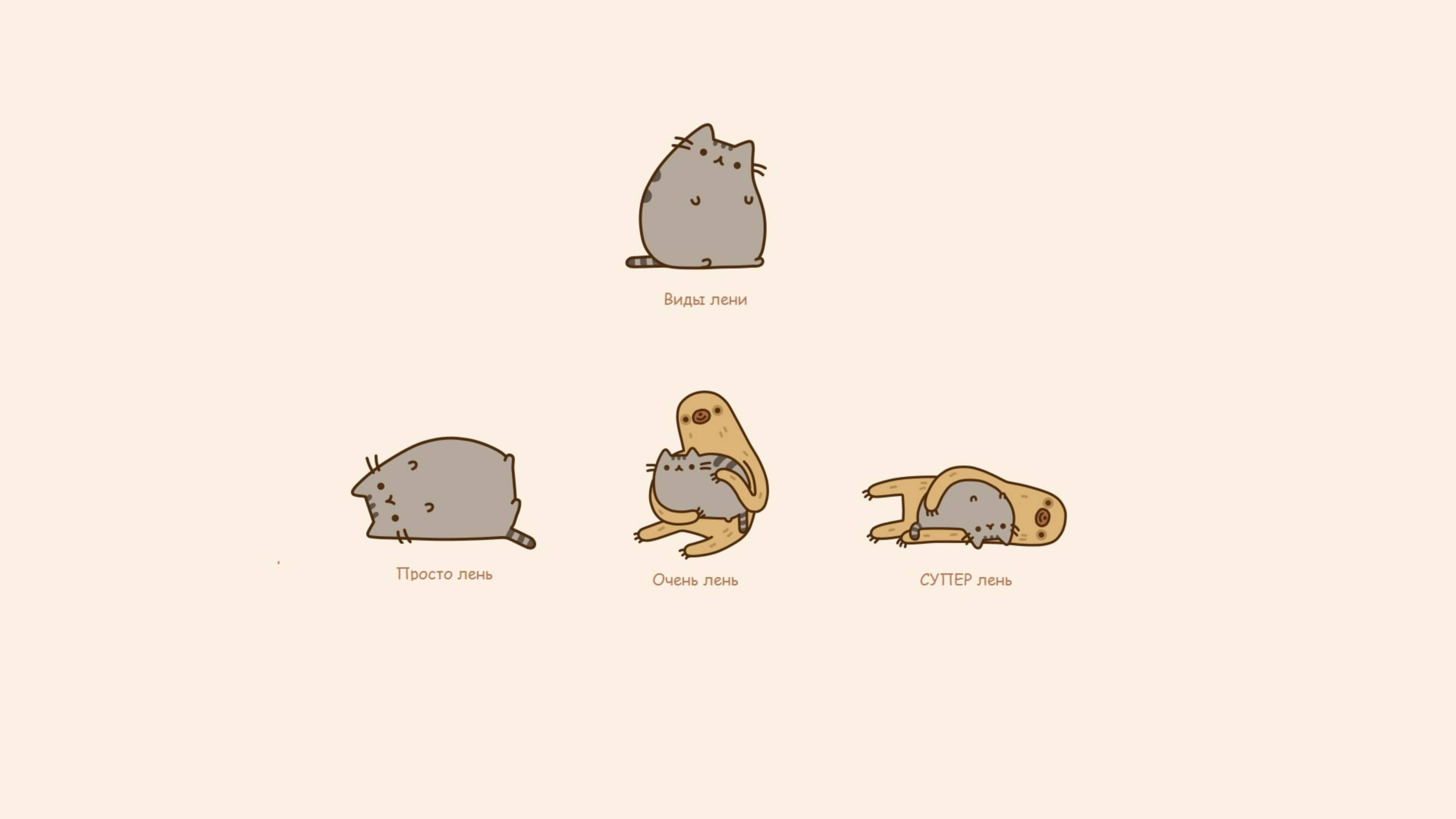 Download Pusheen And Sloth Wallpaper