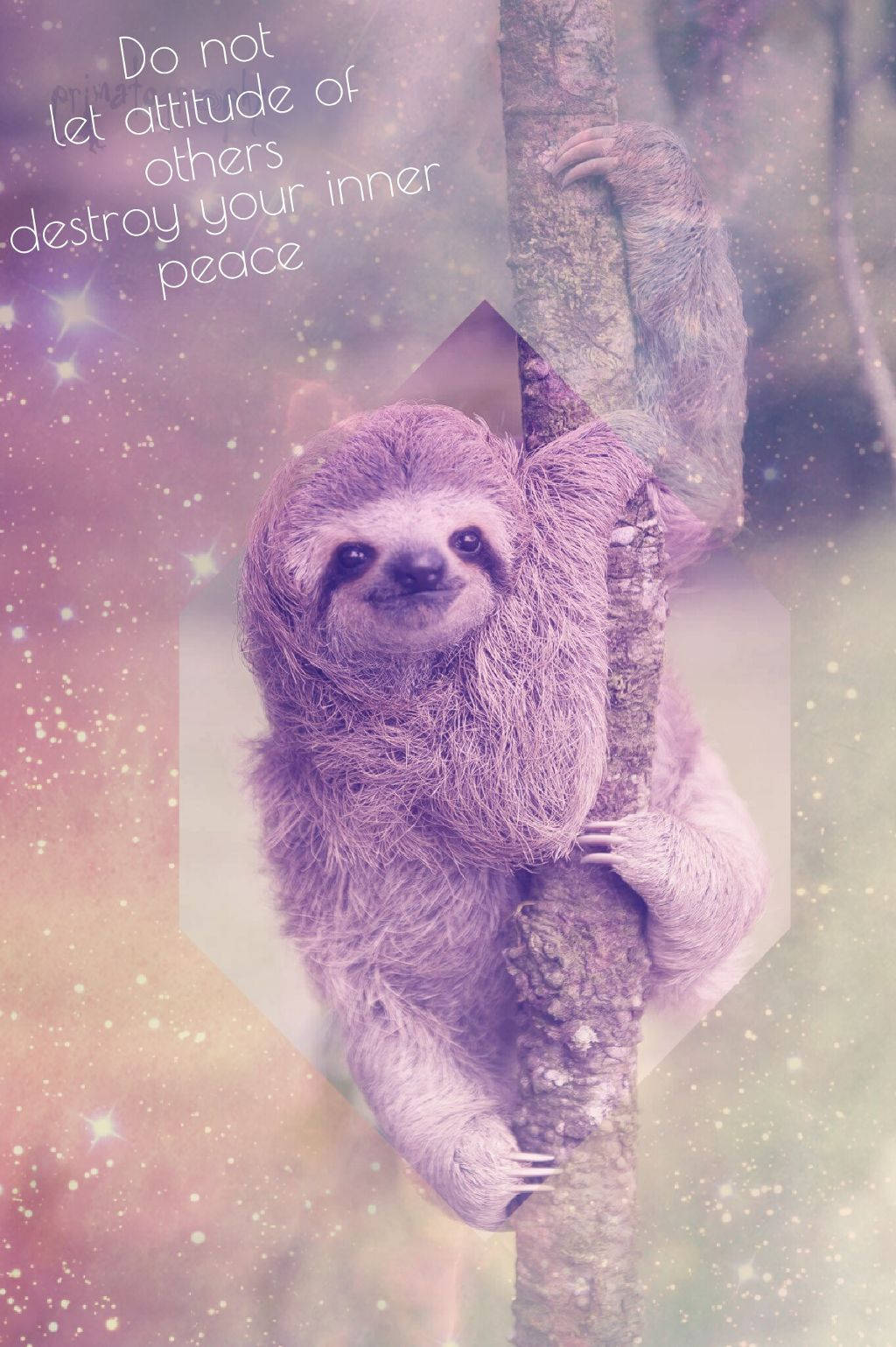 Free Sloth Wallpaper Downloads, Sloth Wallpaper for FREE