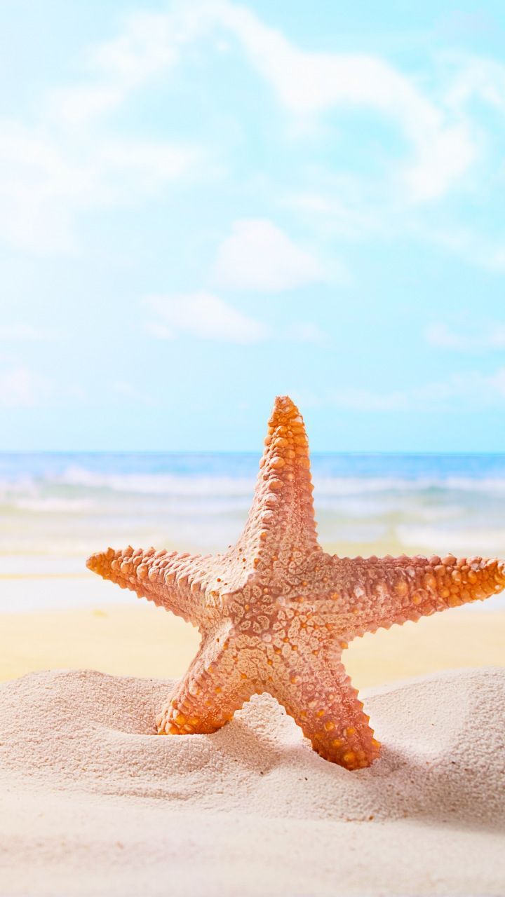Sand, starfish, beach, 720x1280 wallpaper. Beach wallpaper iphone, Summer background, Beach wallpaper
