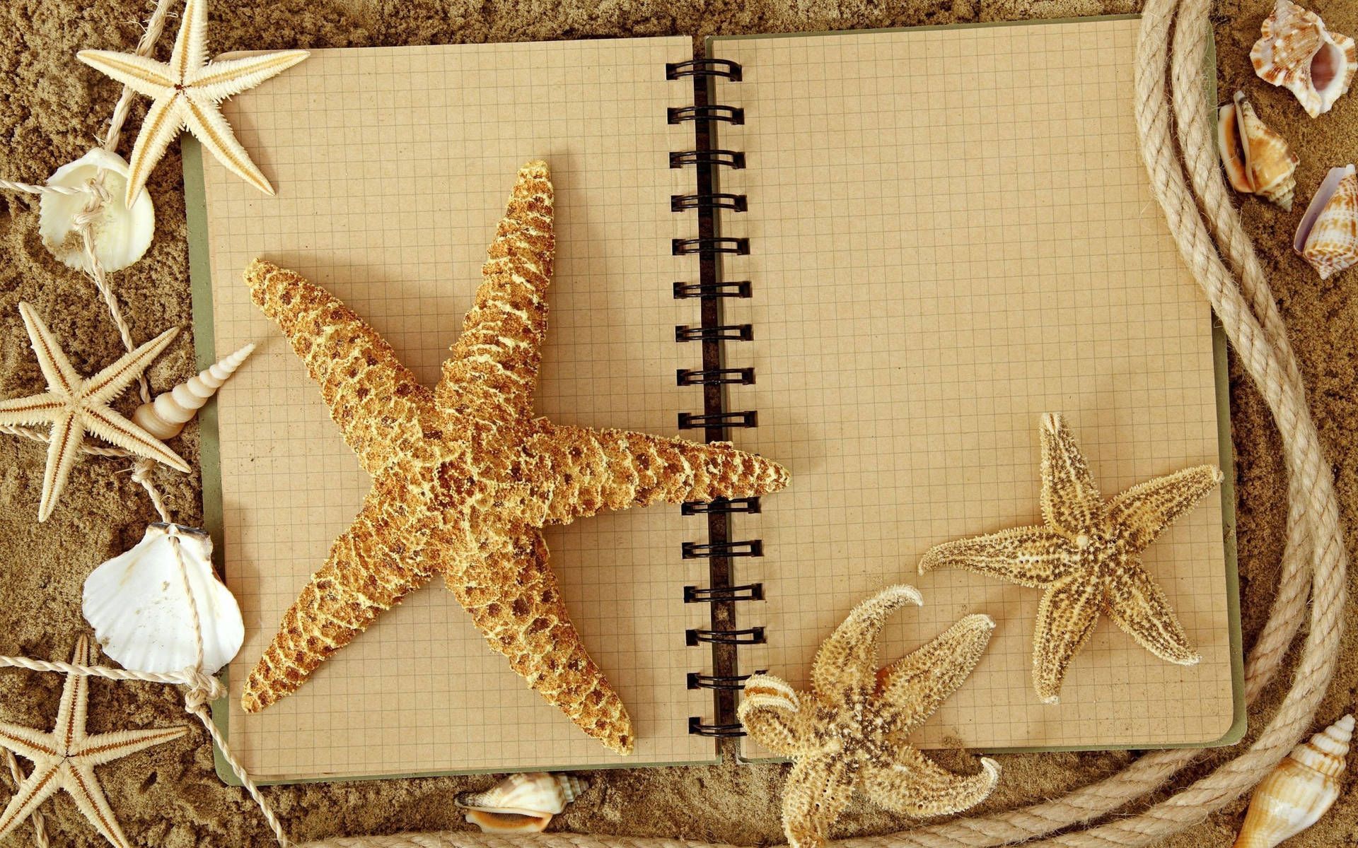Download Aesthetic Brown Starfish Journal Wallpaper
