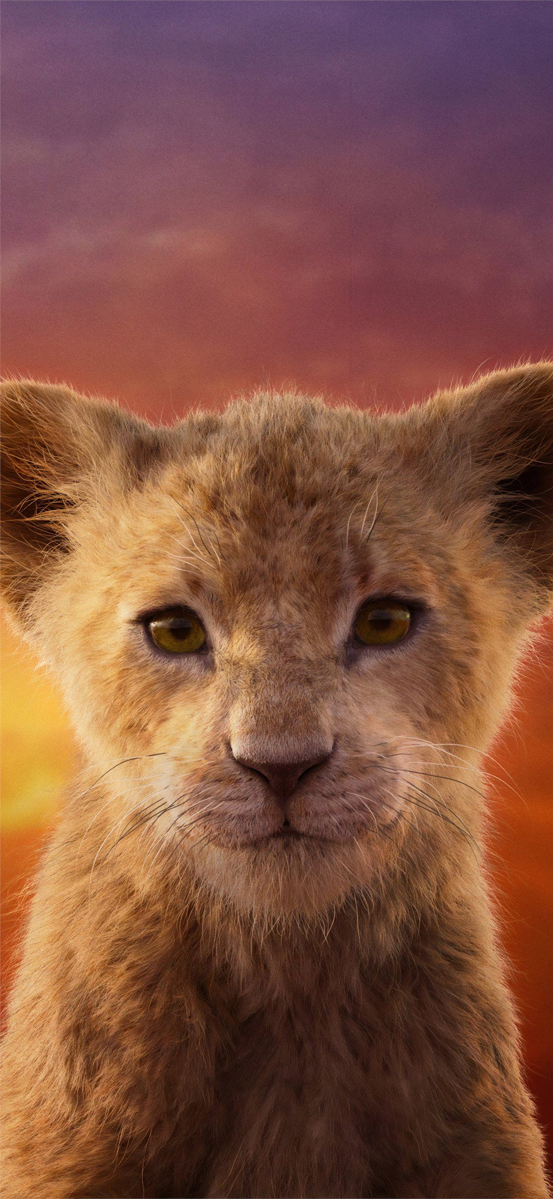 Latest Lion iPhone X HD Wallpaper