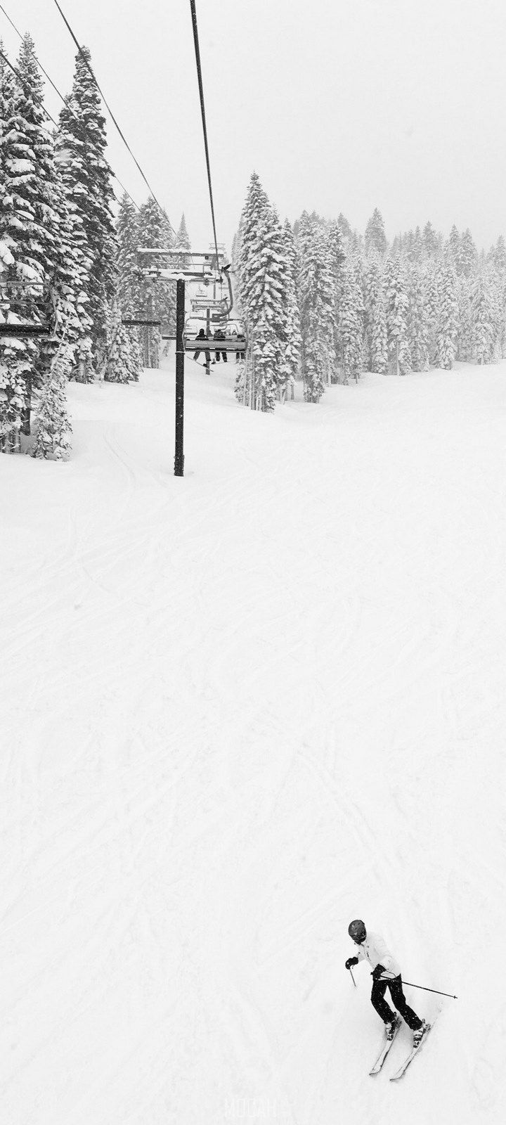 snow trees ski and skiier hd, Infinix Hot 9 background, 720x1600 Gallery HD Wallpaper