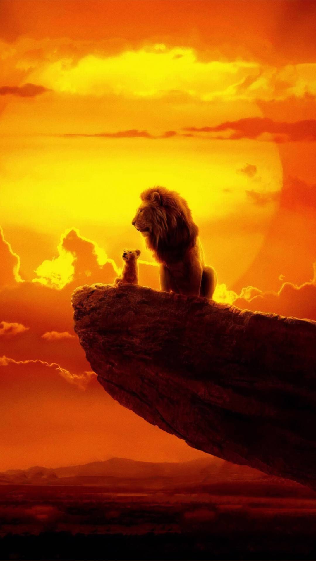 The lion king 2019 wallpapers - The Lion King, sunrise