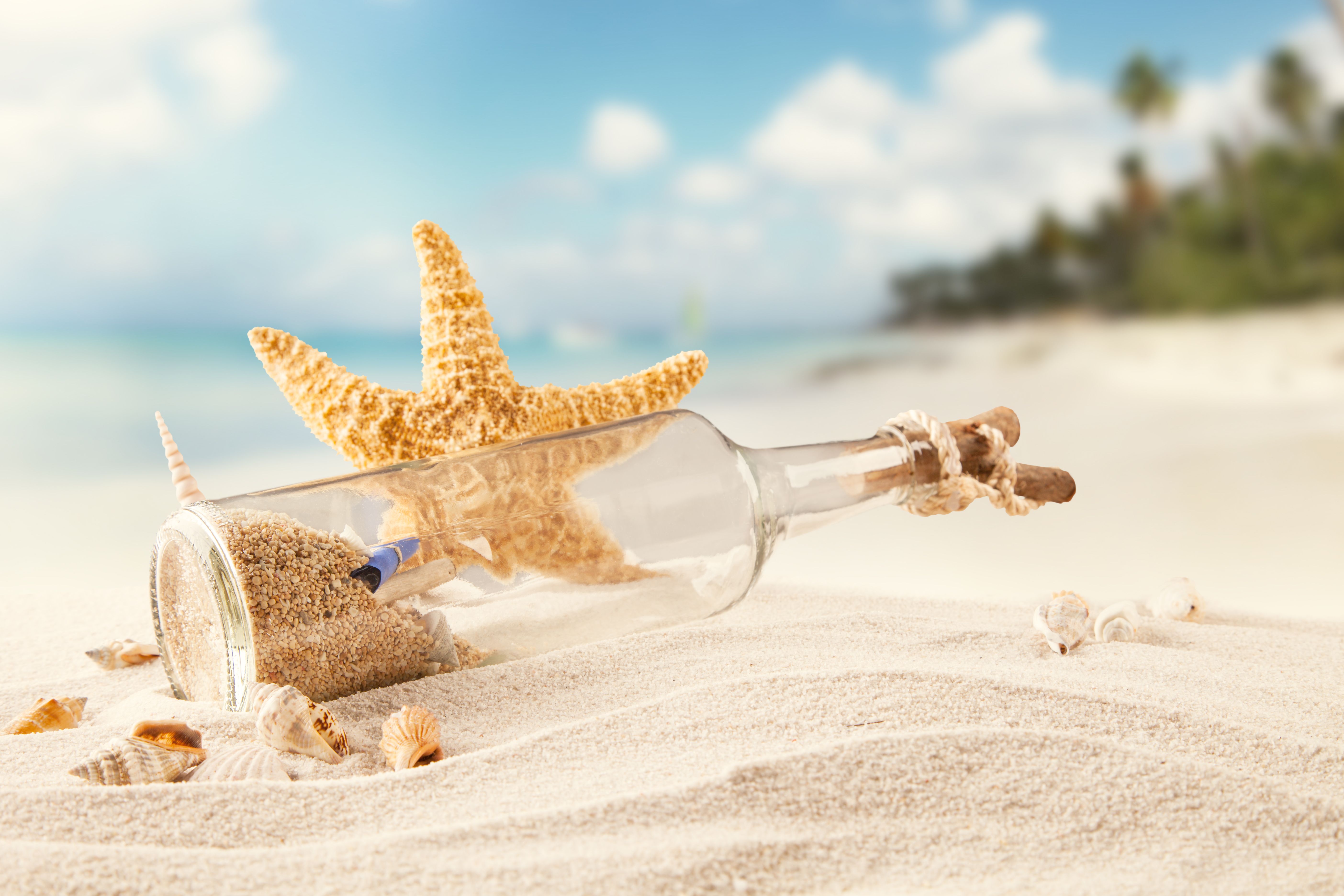 Download wallpaper sand, sea, beach, tropics, bottle, shell, starfish, section nature in resolution 5616x3744