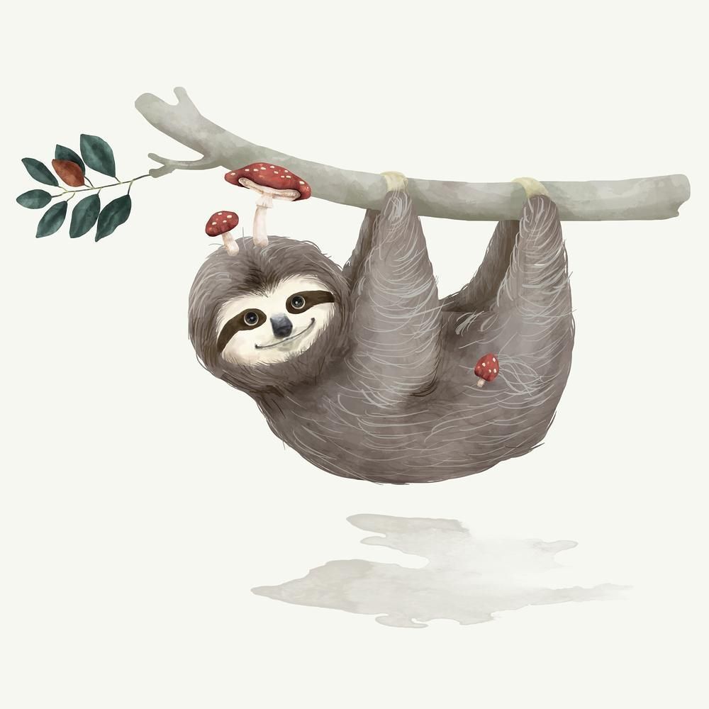 Sloth Illustration Image Wallpaper