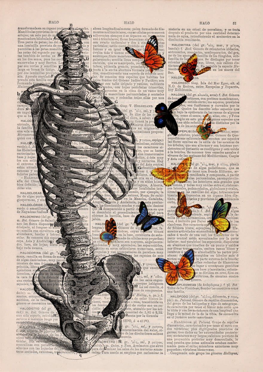 These anatomical drawings on old book pages are so gorgeous, you're going to want to wallpaper your room in them