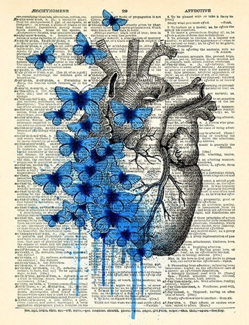 An artwork of a heart with butterflies on it - Anatomy