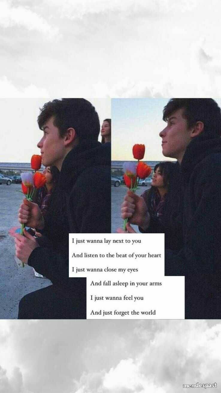 Collage of shawn mendes holding flowers with lyrics - Shawn Mendes