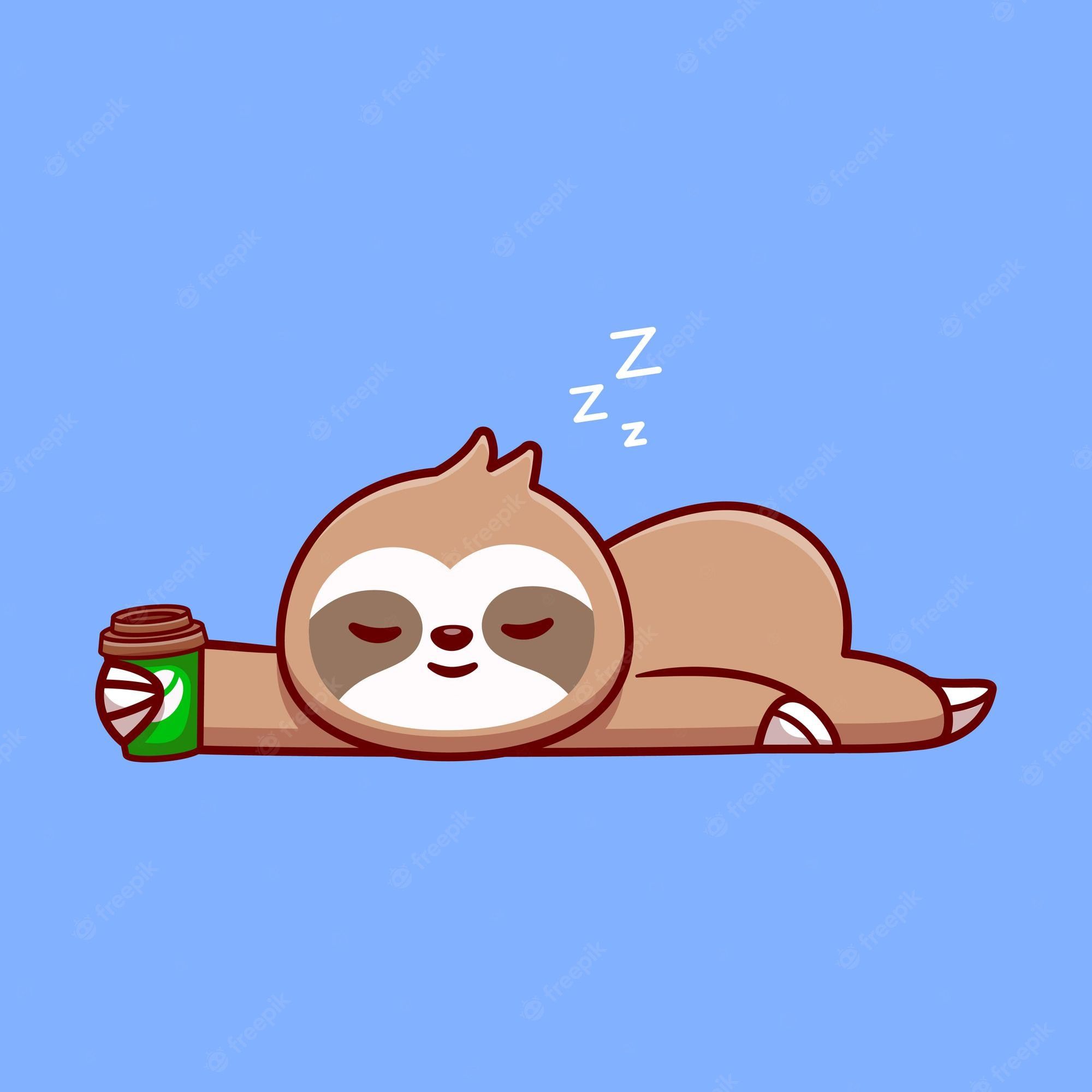 Sloth Sleeping Image