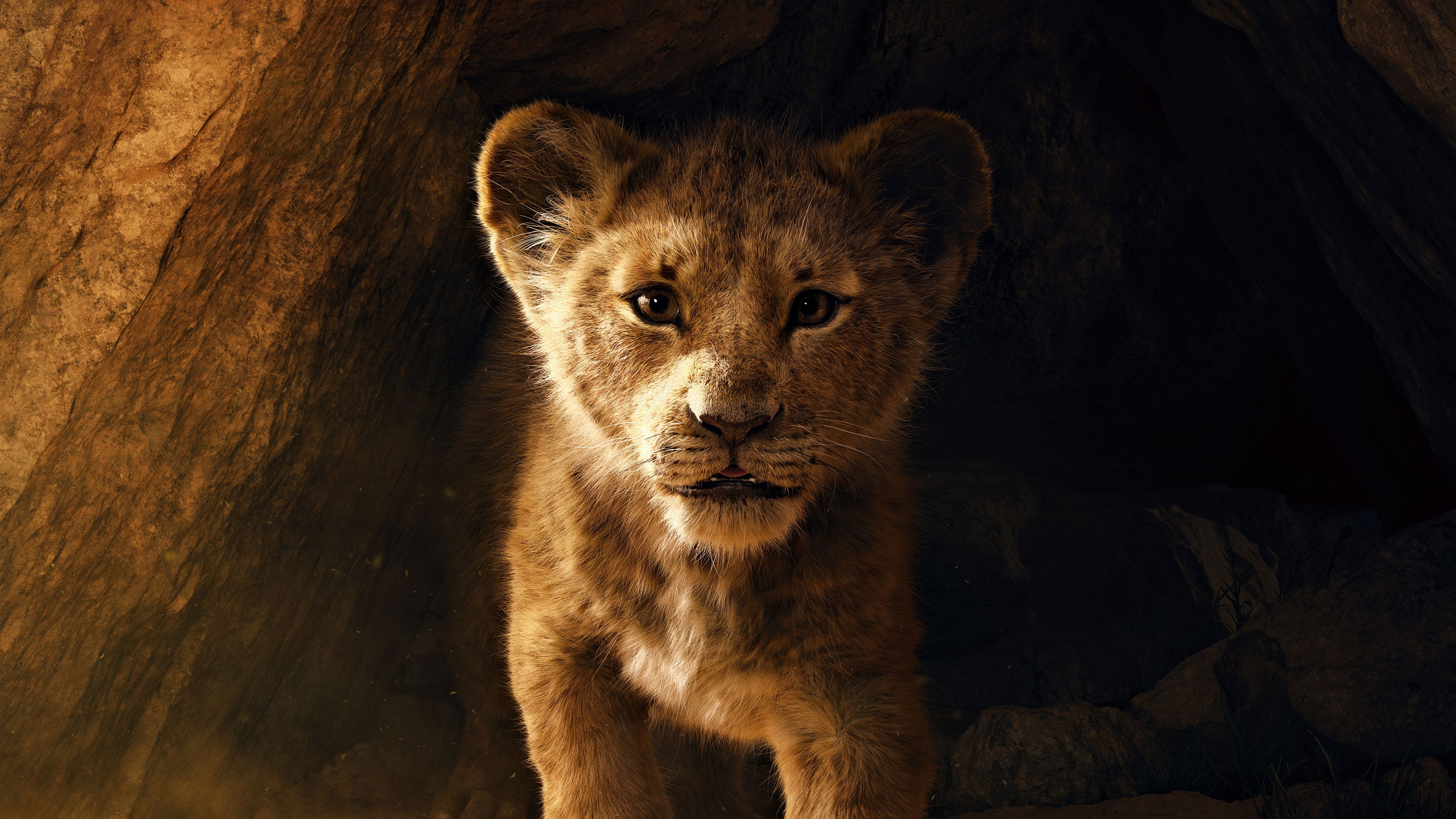 A lion cub is standing in the dark - The Lion King