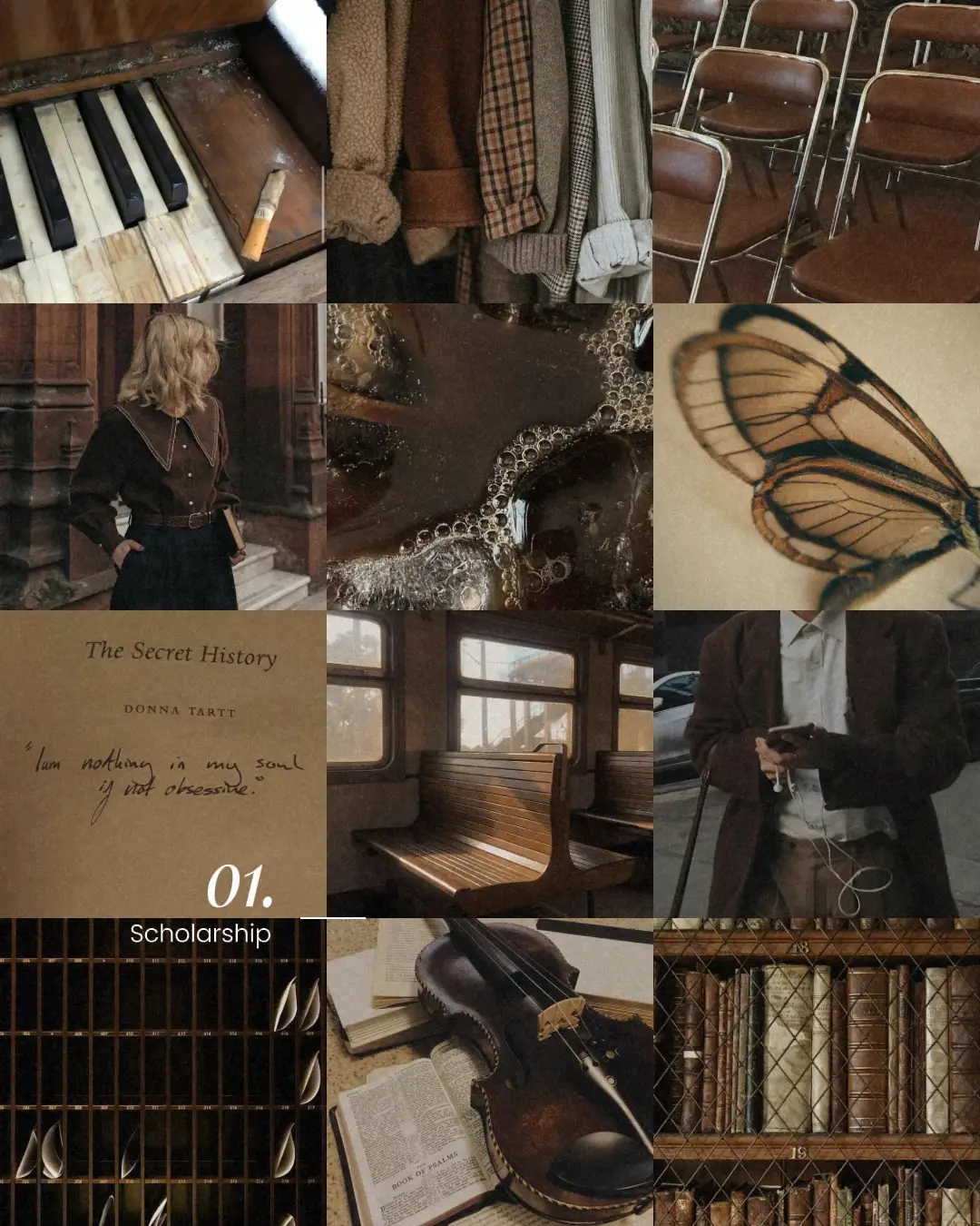 A collage of brown and black images including a book, a butterfly, a chair, a violin, and a bookshelf. - Dark academia