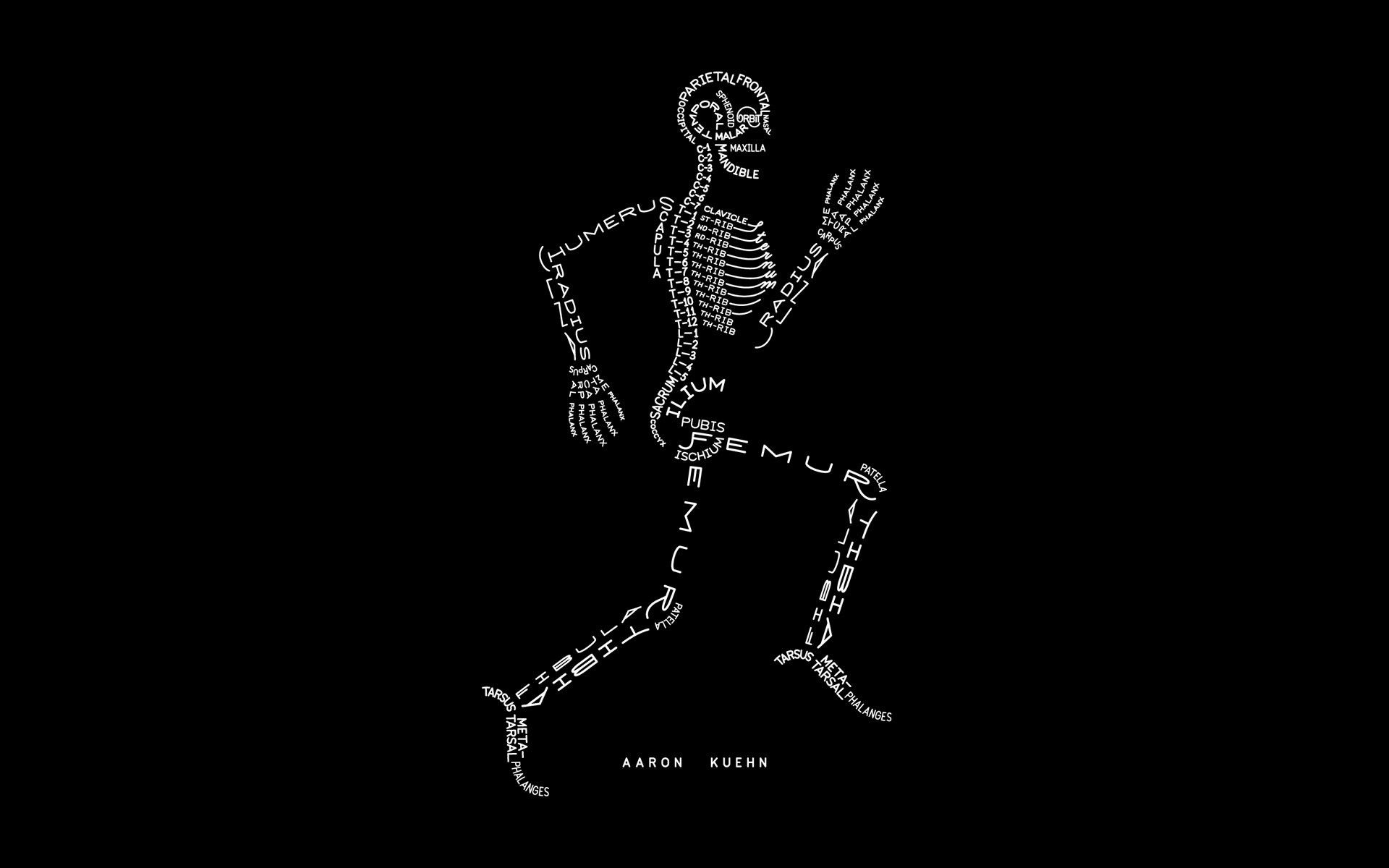 A skeleton made out of the names of different bones, running. - Anatomy
