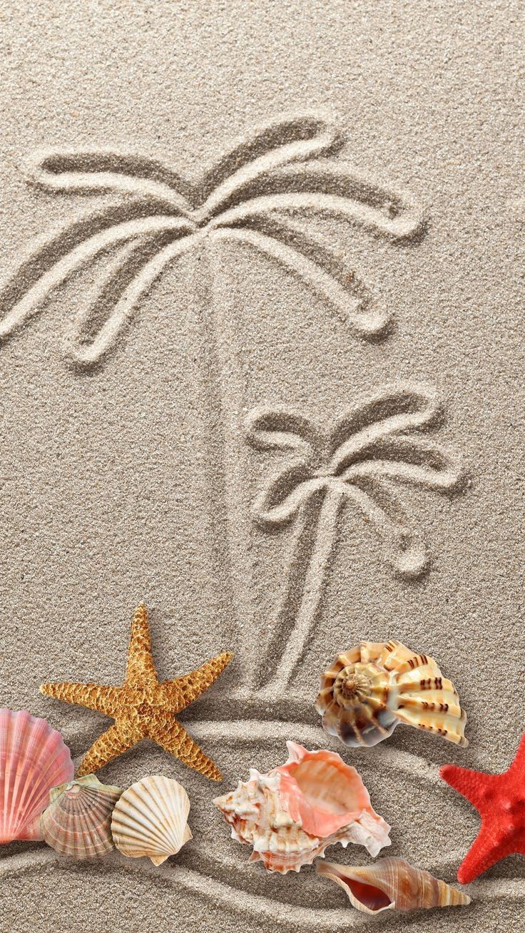 A beach scene with sand and shells - Starfish