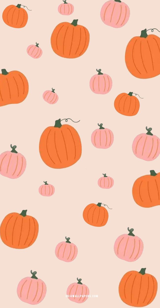 Autumn 5 Wallpaper