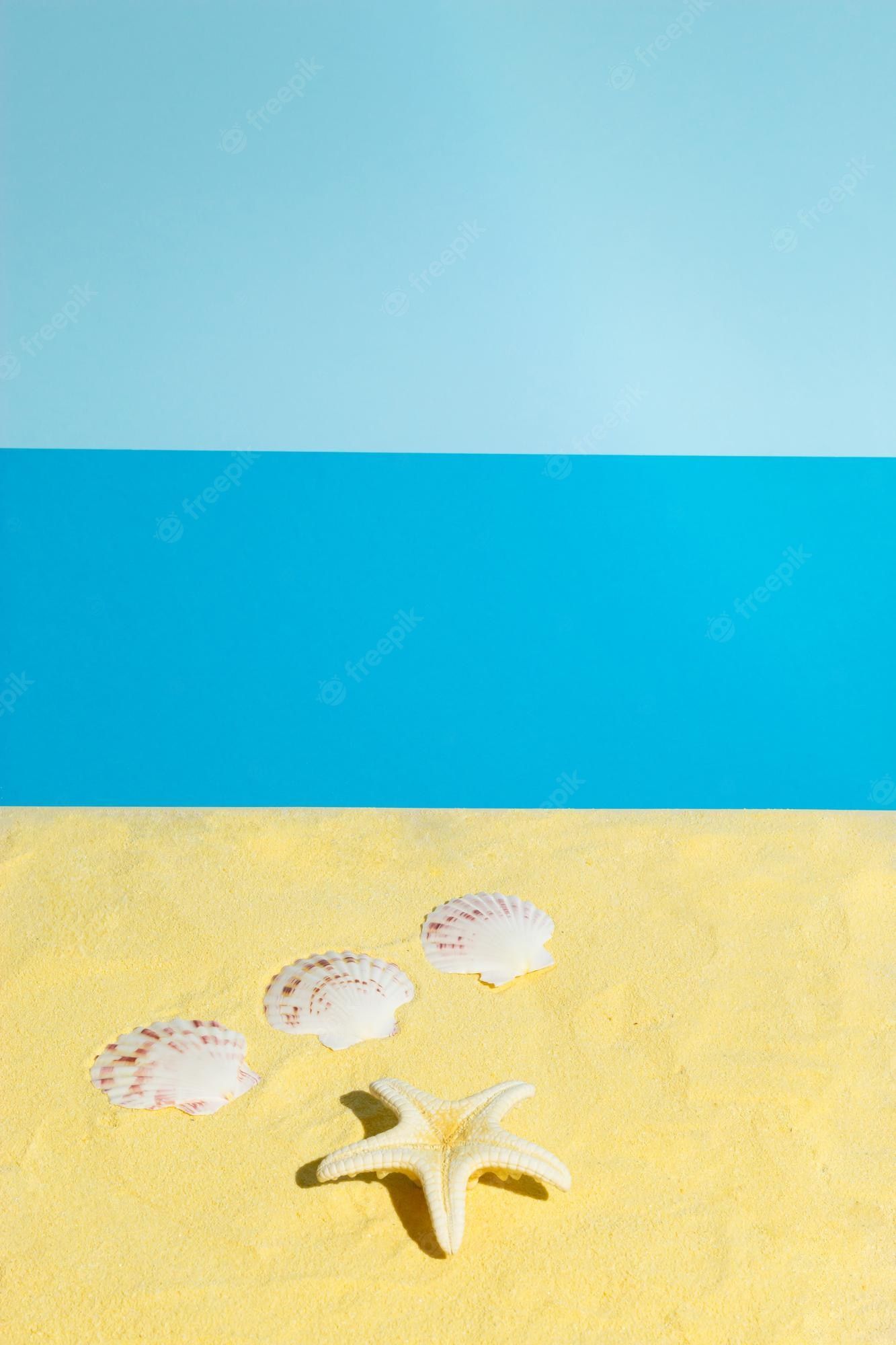 Premium Photo. Summer scene with sea shells and starfish on the beach minimal aesthetic concept