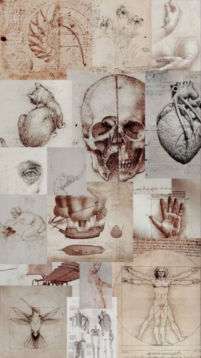 A collage of Leonardo da Vinci's drawings of the human body, including a skull, hands, and a heart. - Anatomy