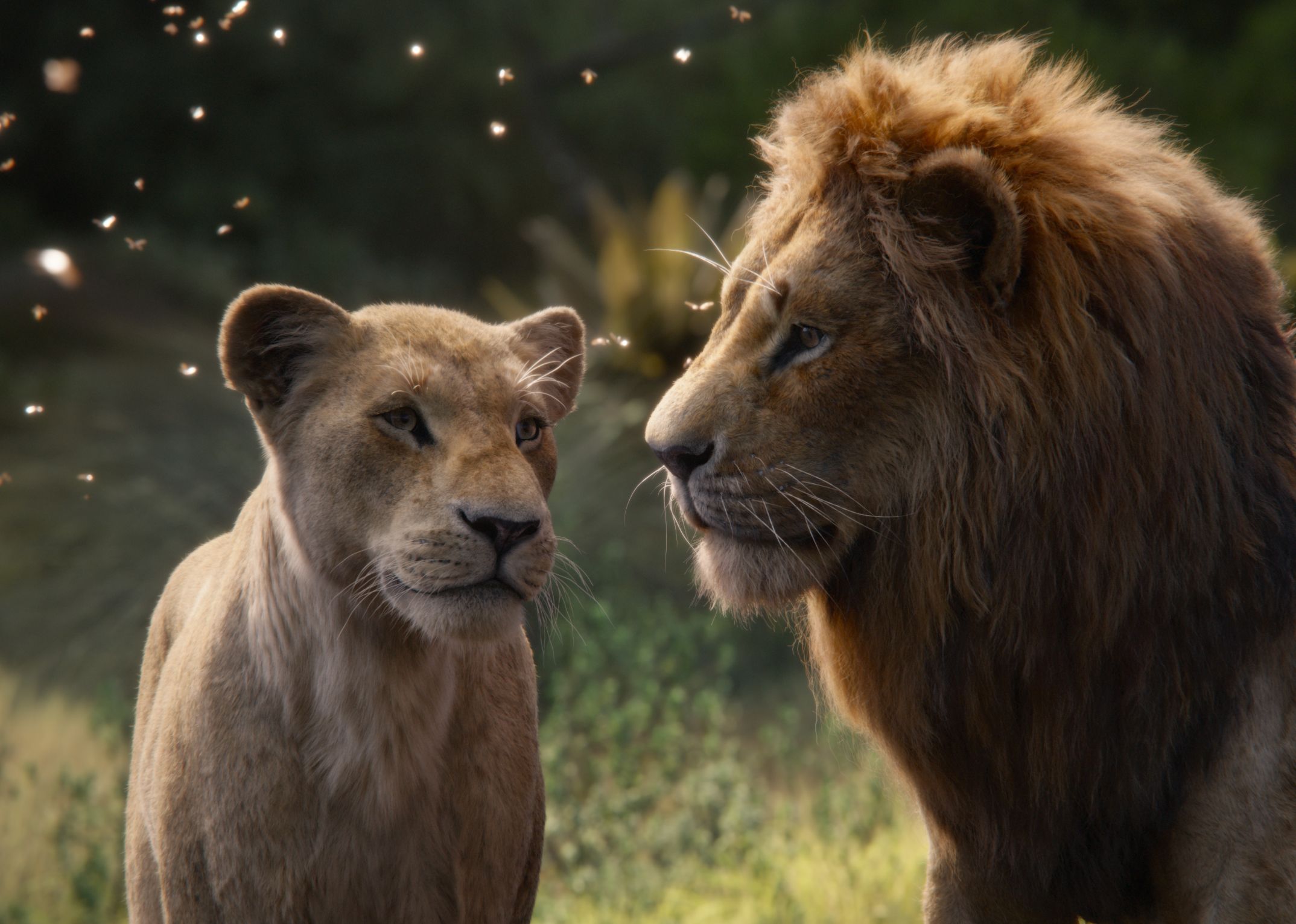 Nala (The Lion King) HD Wallpaper and Background