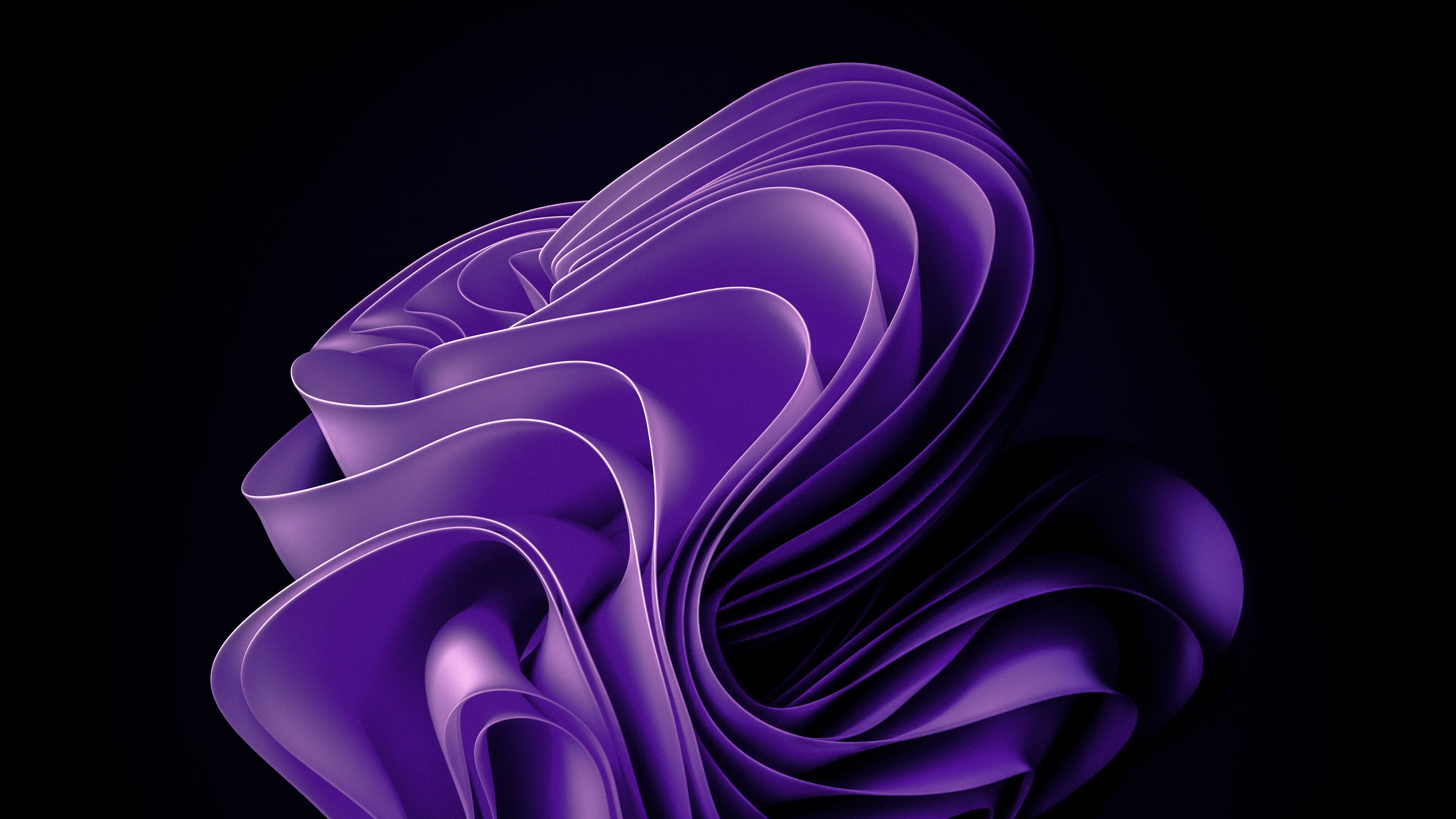 A purple abstract 3D wave on a black background - Windows 11