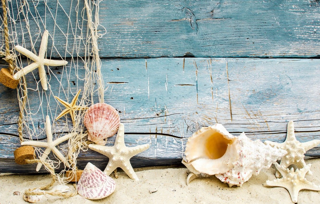 Wallpaper sand, beach, shell, beach, wood, sand, marine, seashells, starfishes image for desktop, section природа