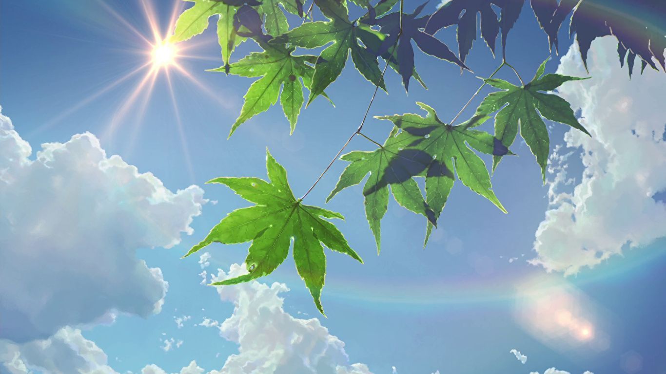 A sun shines through green leaves in a blue sky - 1366x768