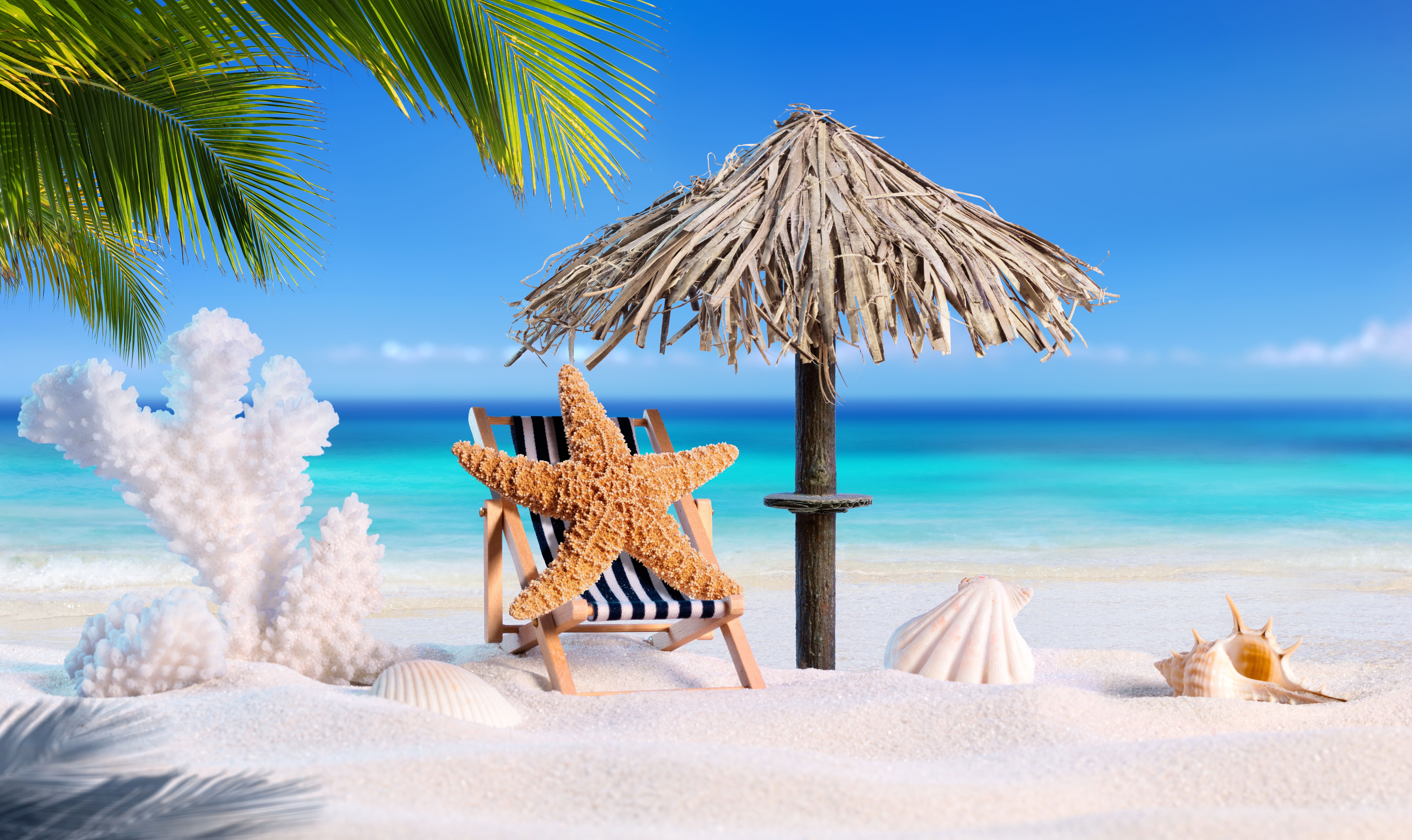 A beach scene with sand, palm trees and an umbrella - Starfish