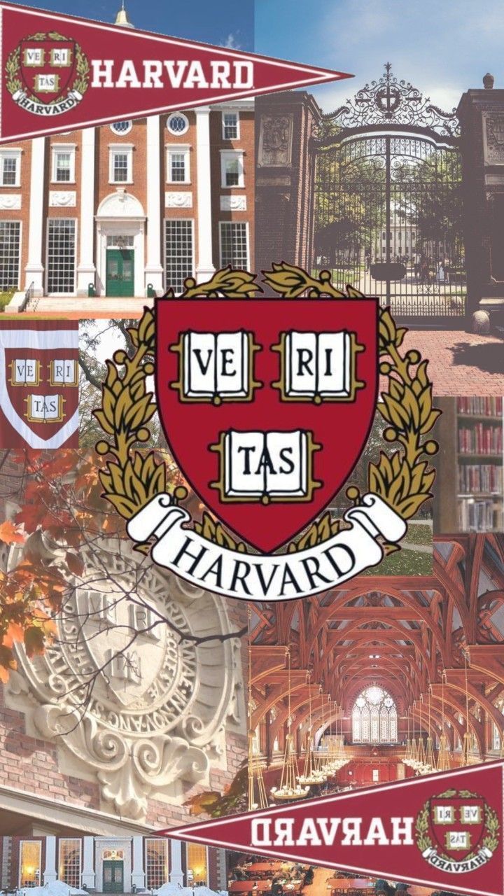 Harvard Aestethic Wallpaper. University inspiration, Harvard university, Harvard