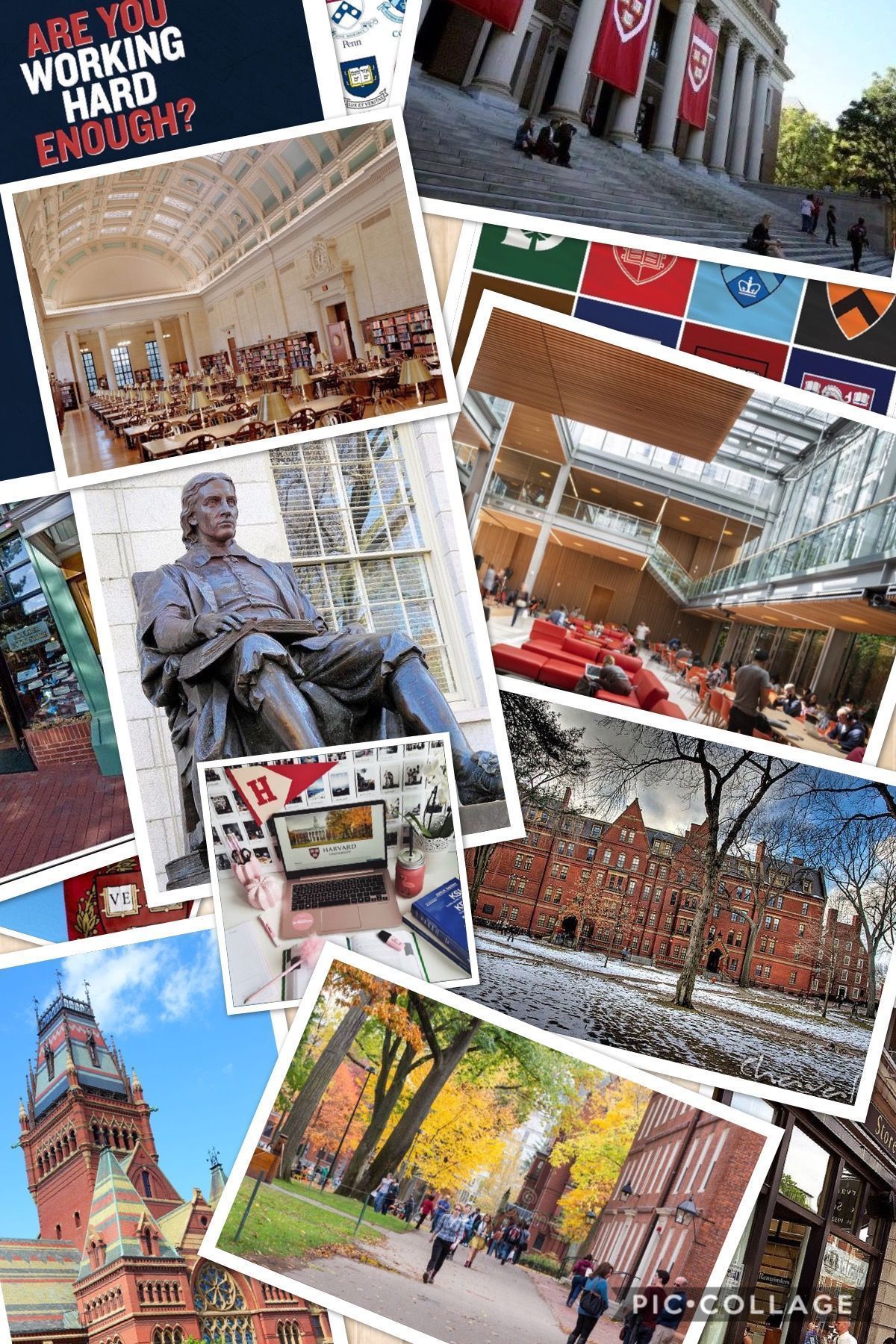 A collage of pictures of Harvard University buildings and campus. - Harvard