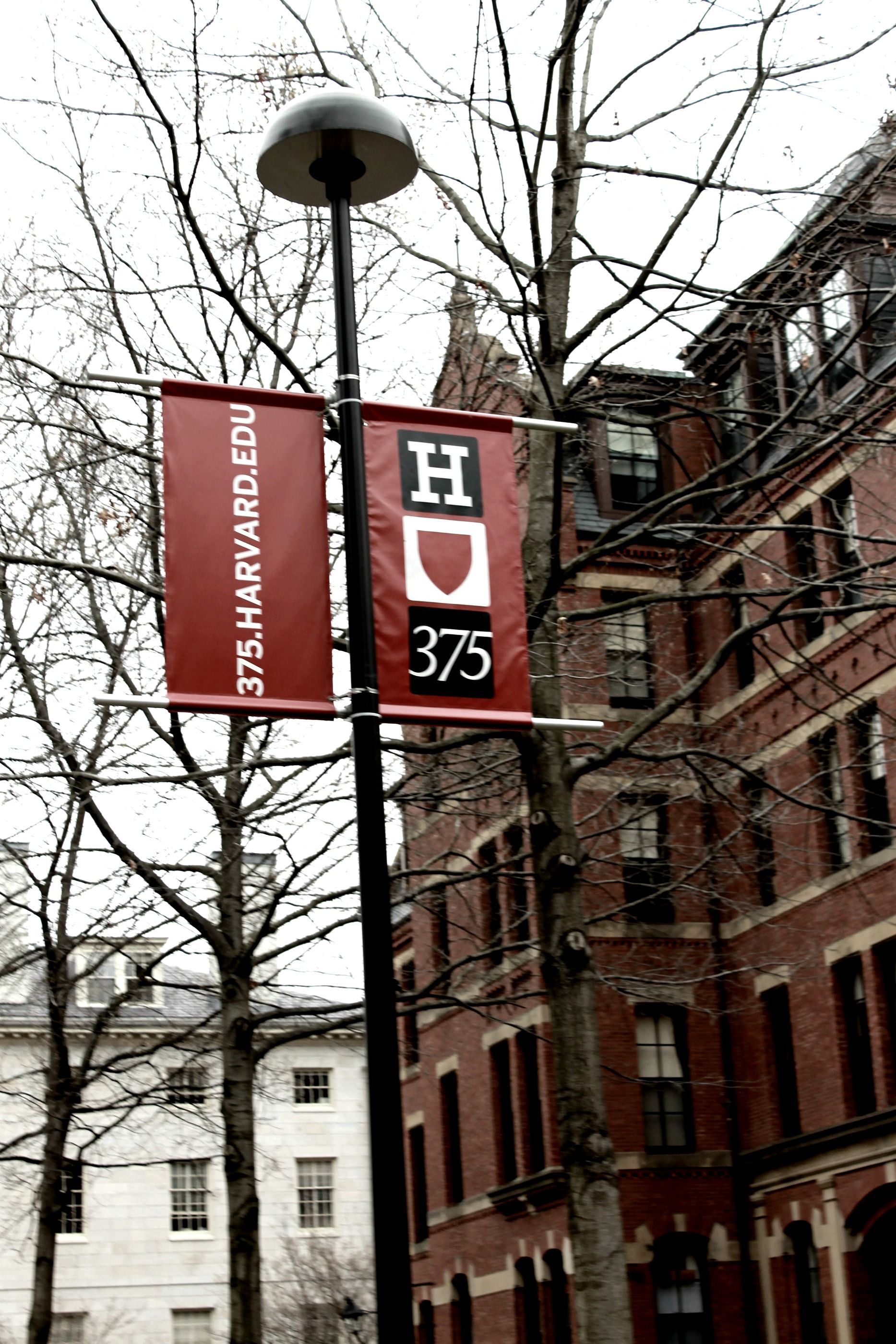 A banner for Harvard University is attached to a street lamp. - Harvard