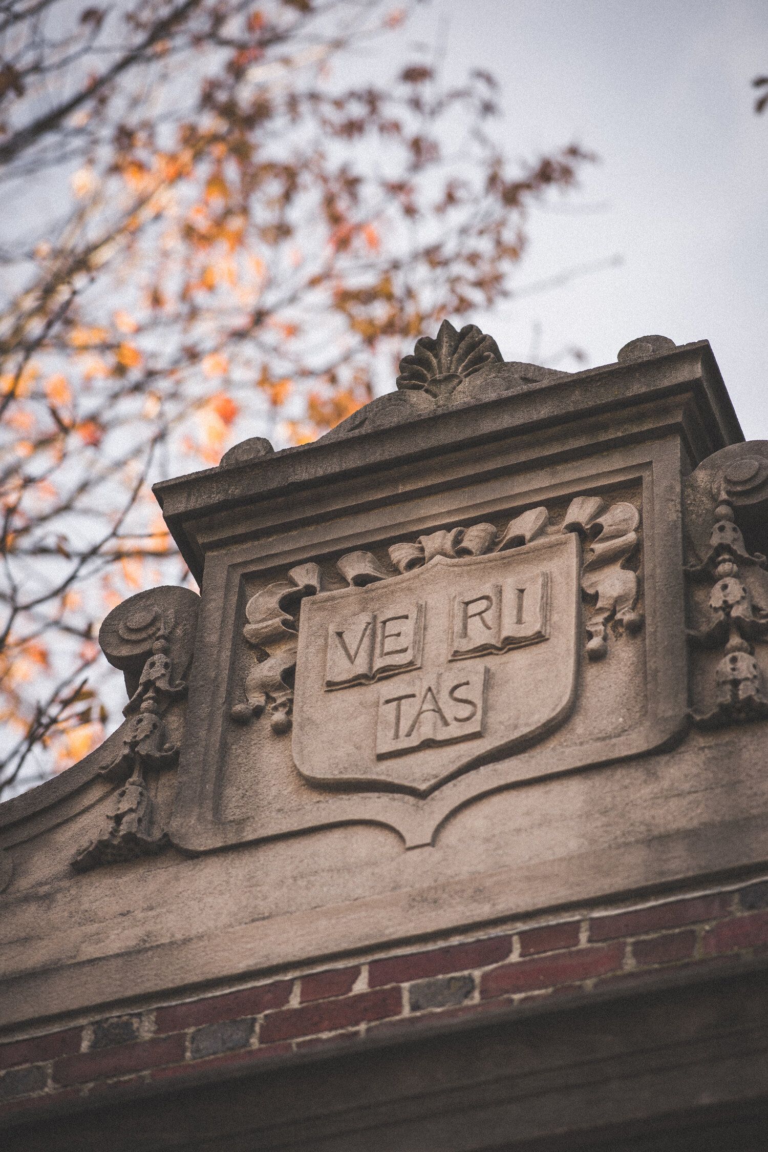 The Harvard seal on a building. - Harvard