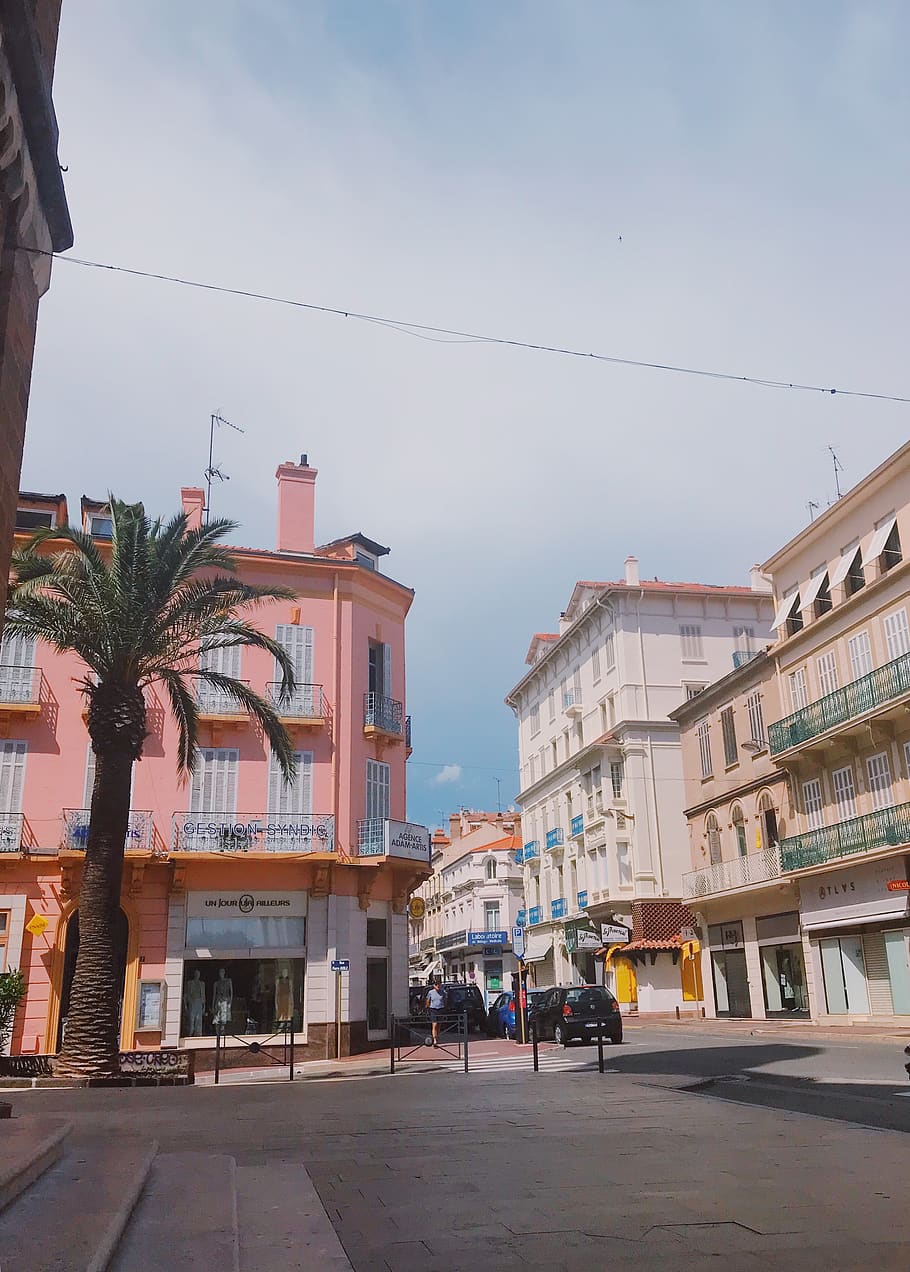 A street in Menton with a pink building and palm trees. - France